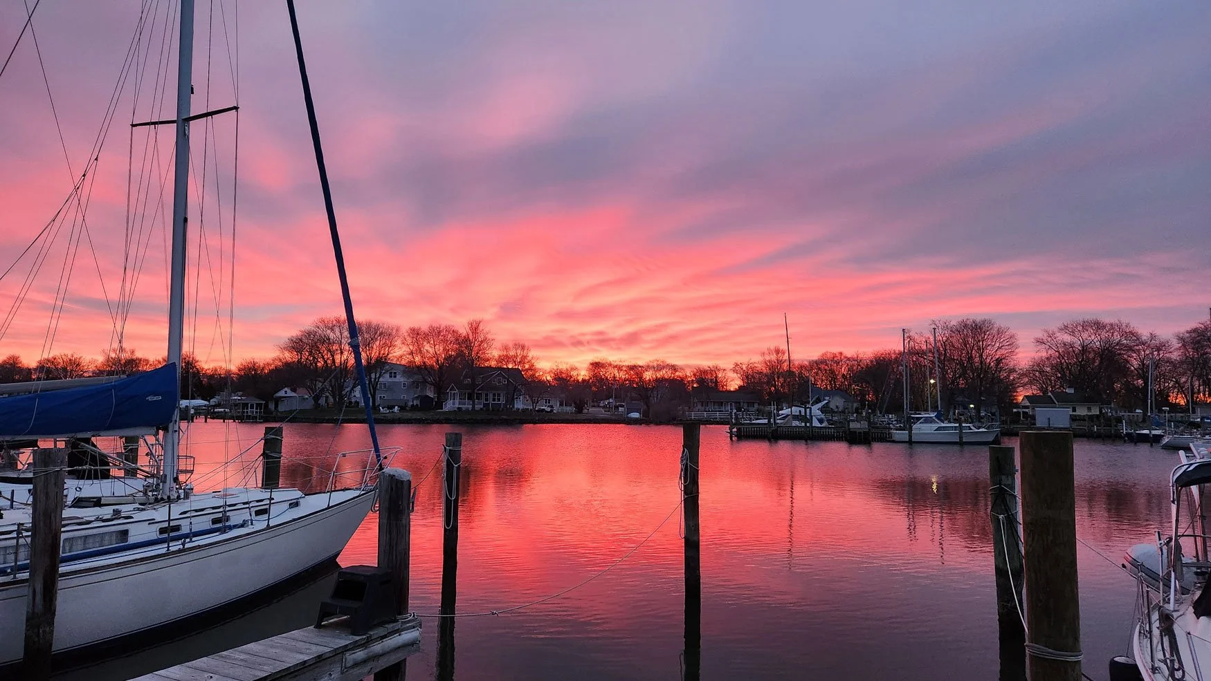 Pink marina sky