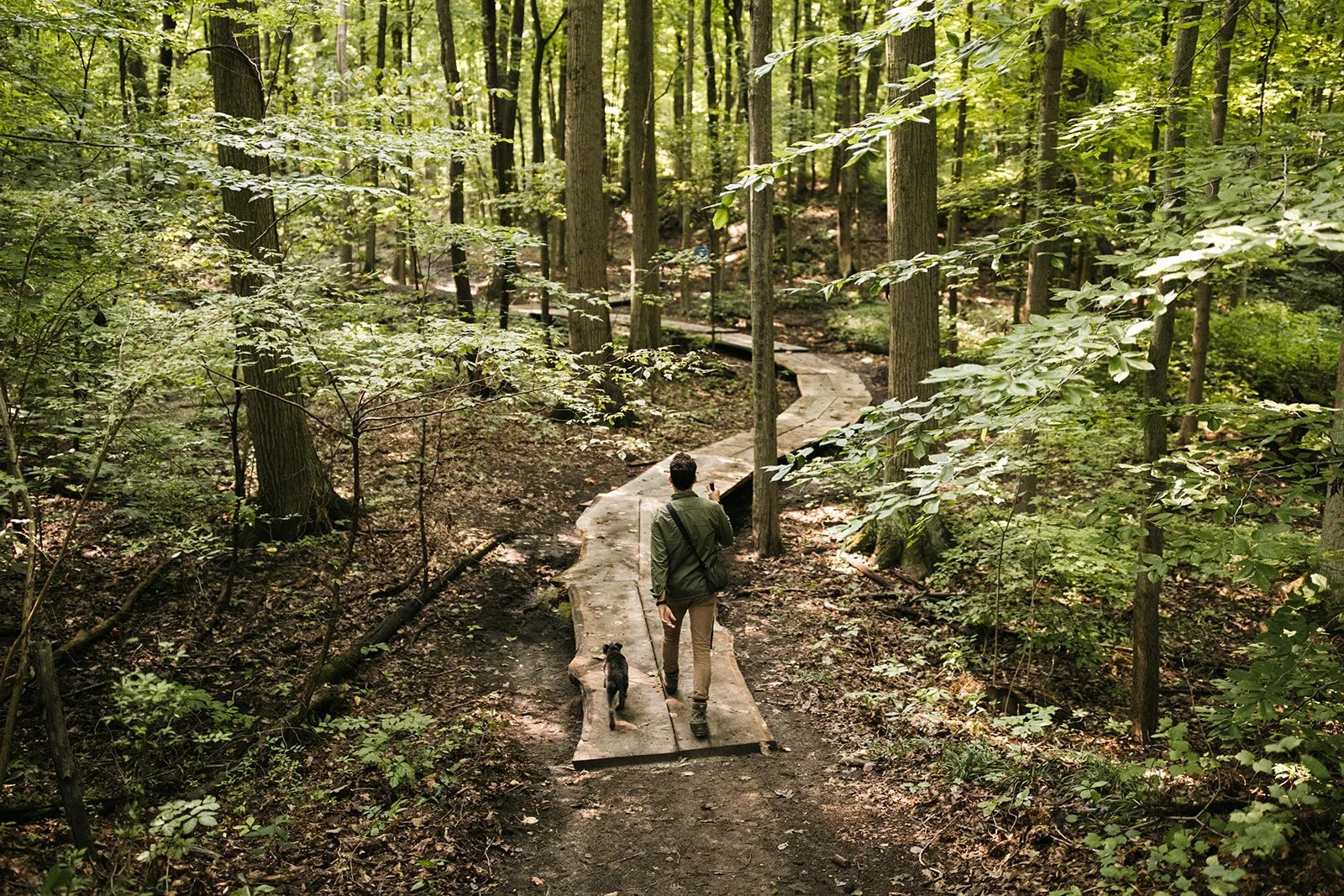 TRAILS &amp; BRIDGES