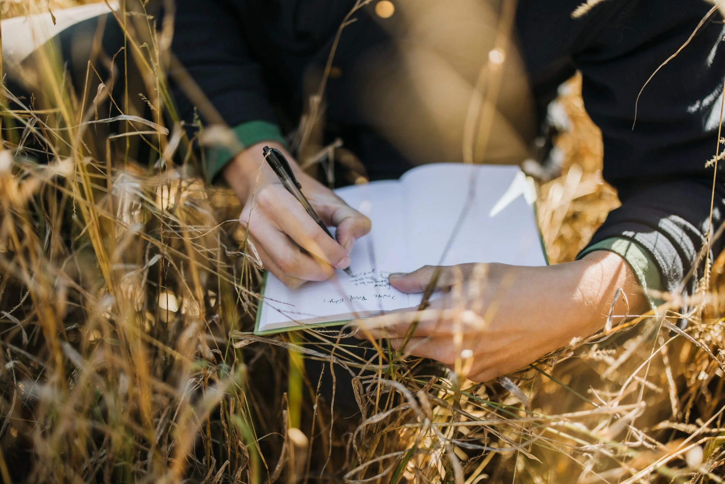 CONSERVATION &amp; RESTORATION