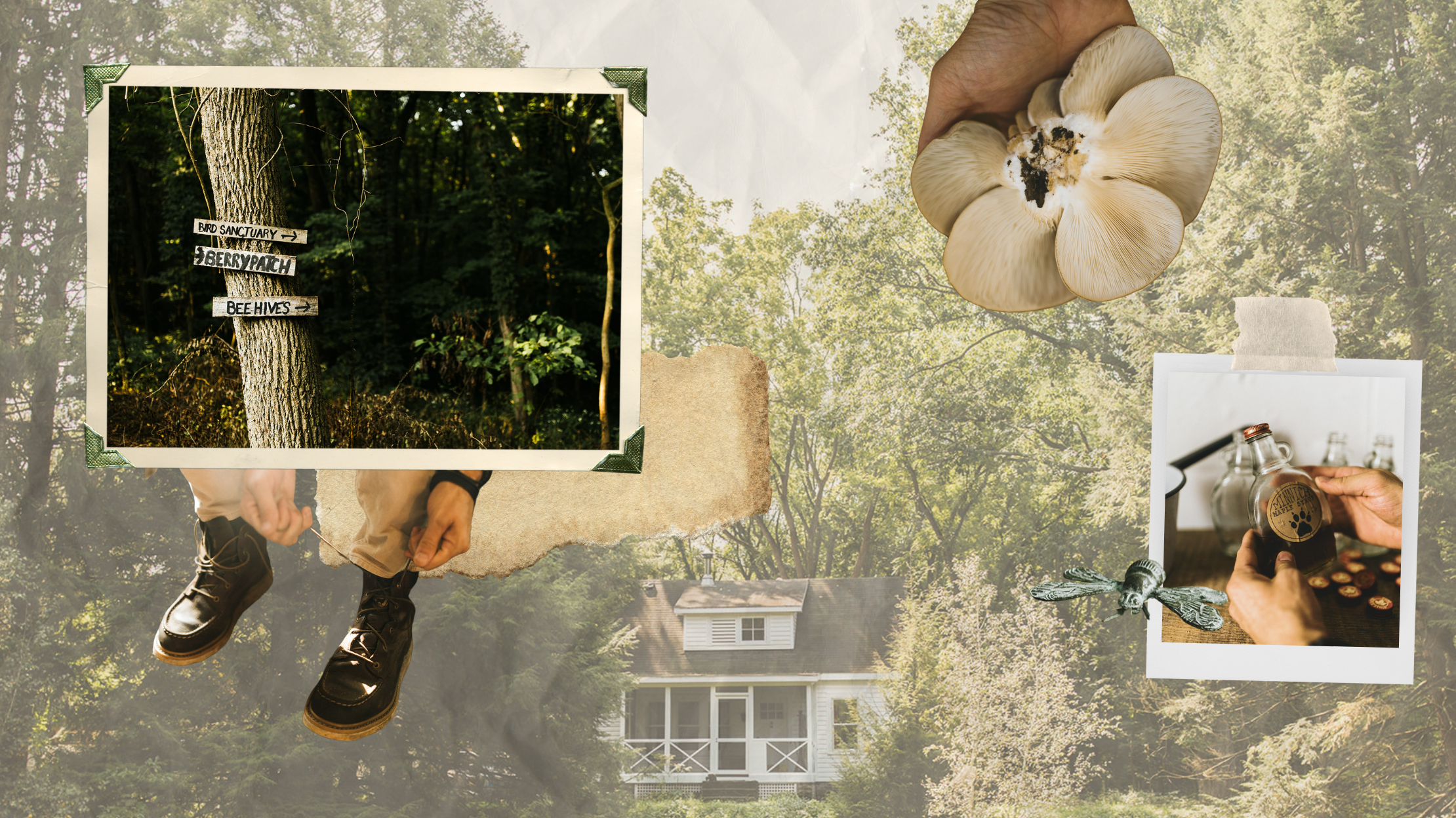 Untitled design-3.png