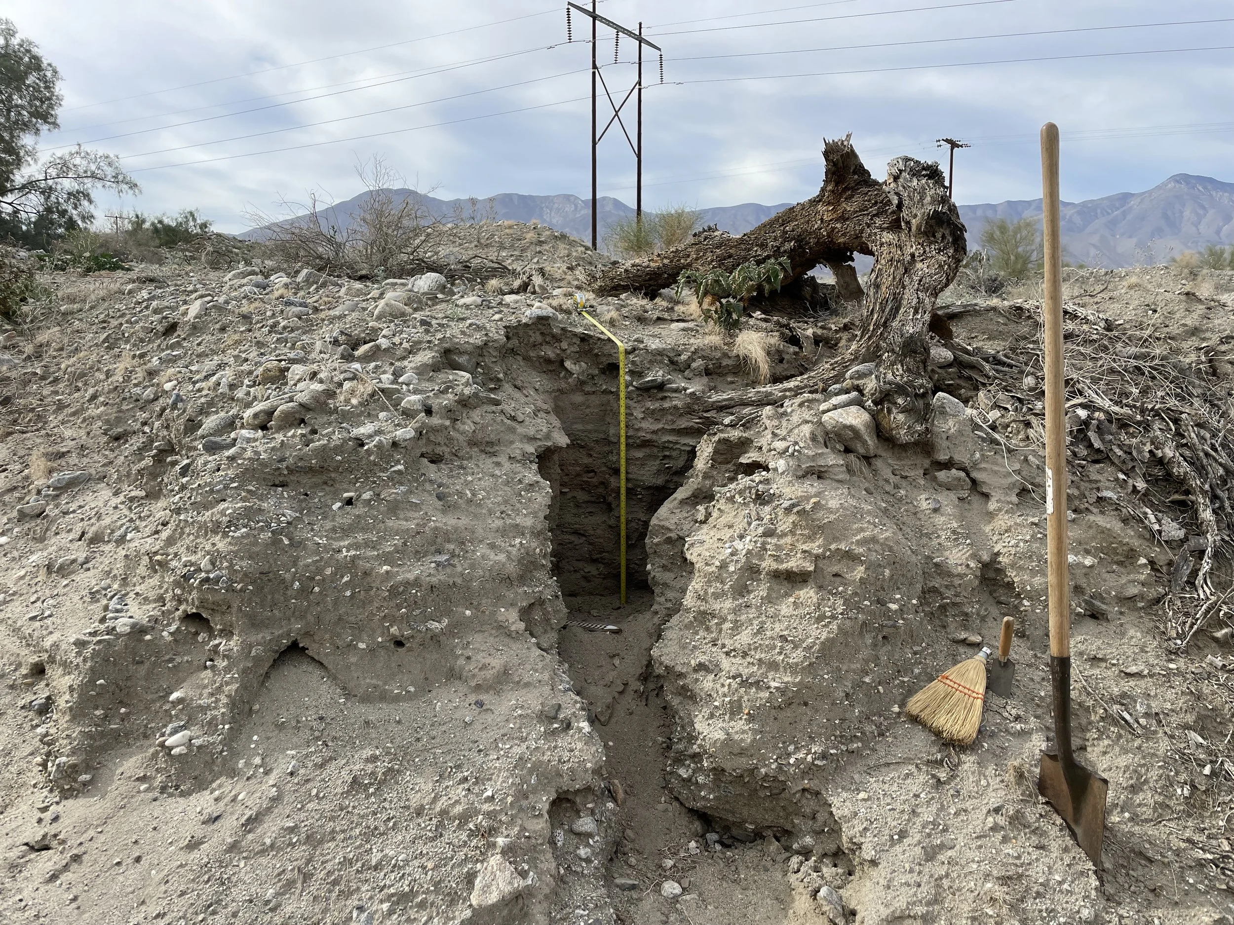 Excavation site with a partially exposed tree roots and soil layers, a measuring stick, a broom, and a spade, with mountains and power lines in the background.