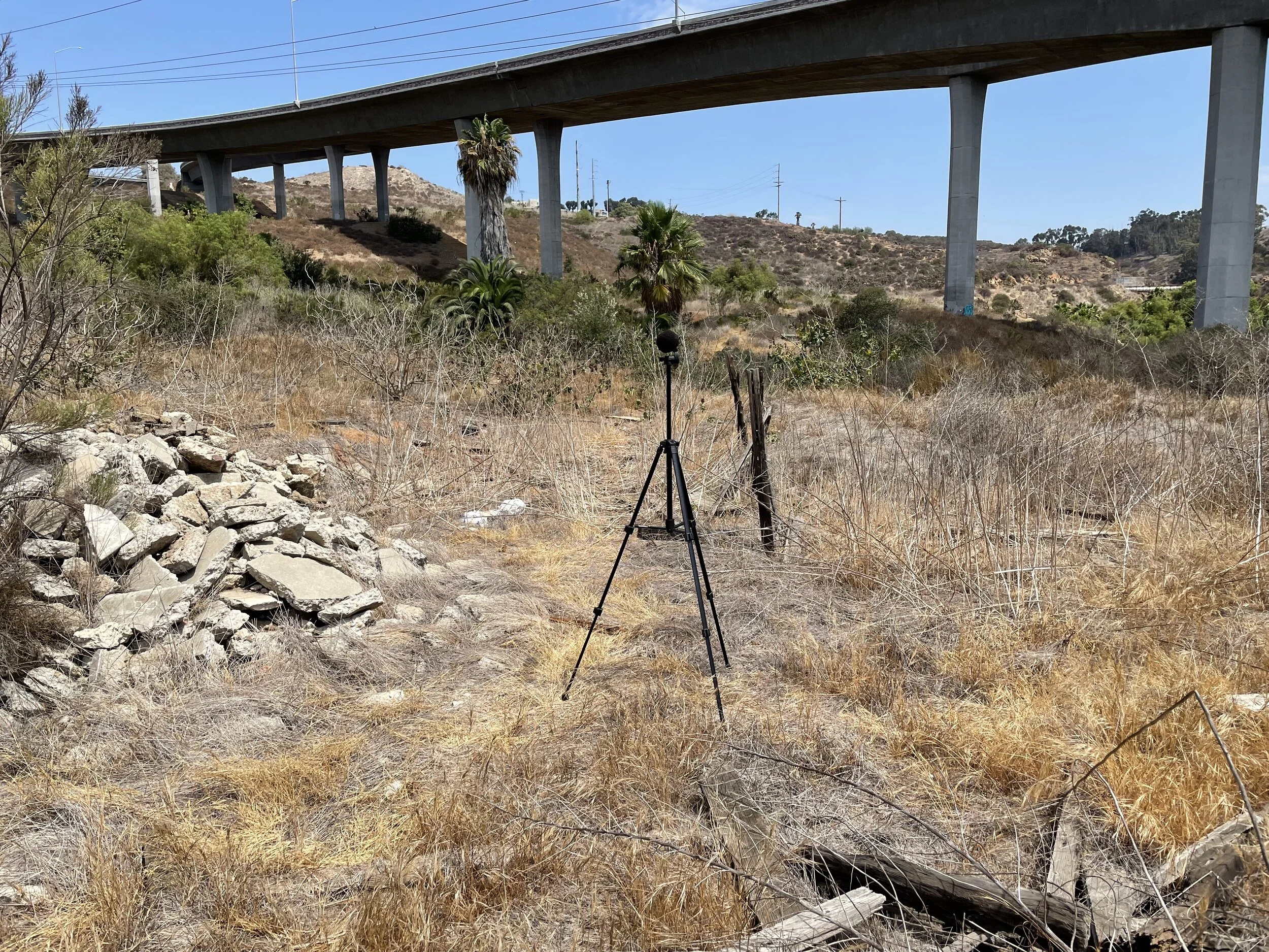 Outdoor scene with a tripod and microphone, dry vegetation, concrete debris, and an elevated highway in the background.