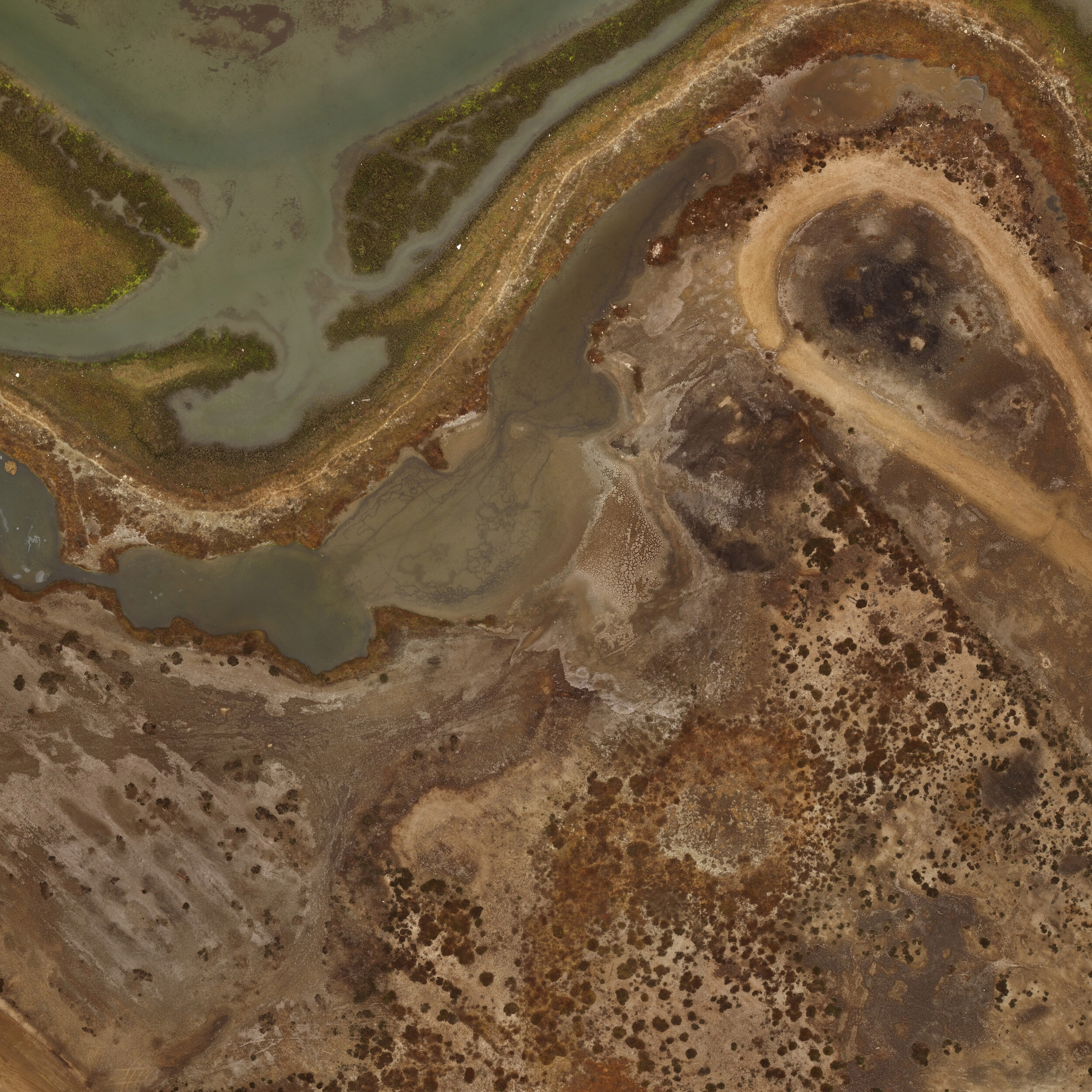 Aerial view of a marshland area with greenish-brown water channels and surrounding dry, earthy terrain.