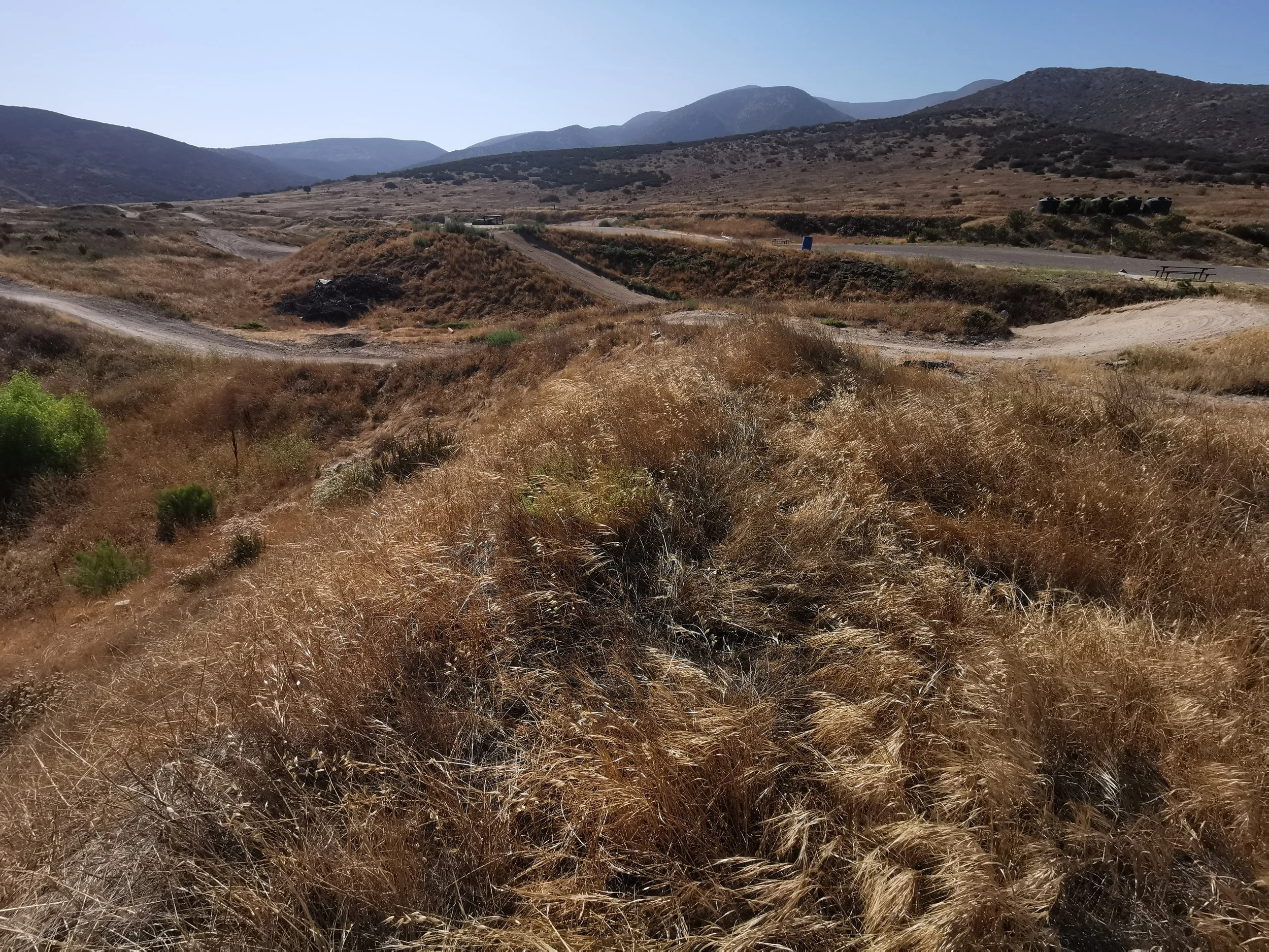Arid landscape with dry grass and hills under clear blue sky