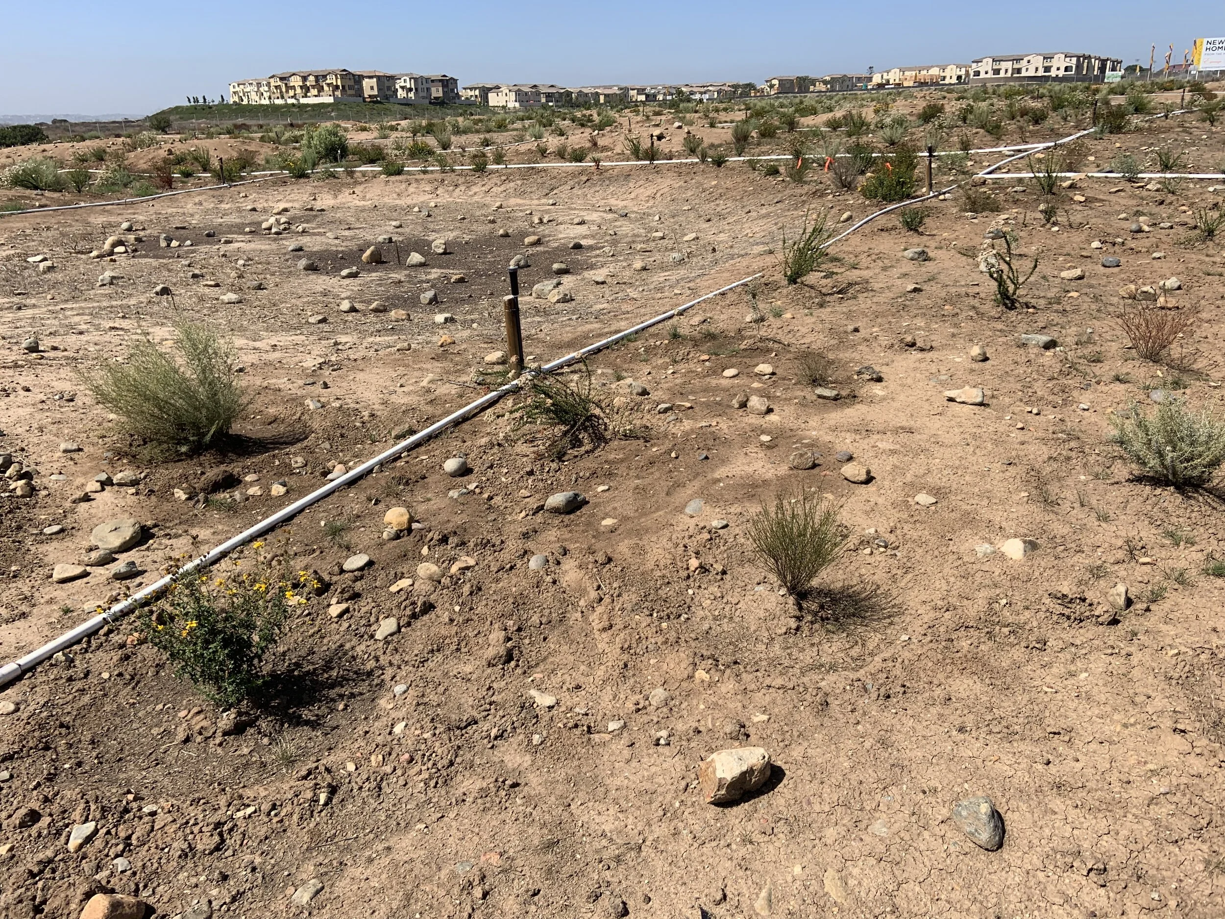 8529.4irrigationwithplants.JPG?format=2500w
