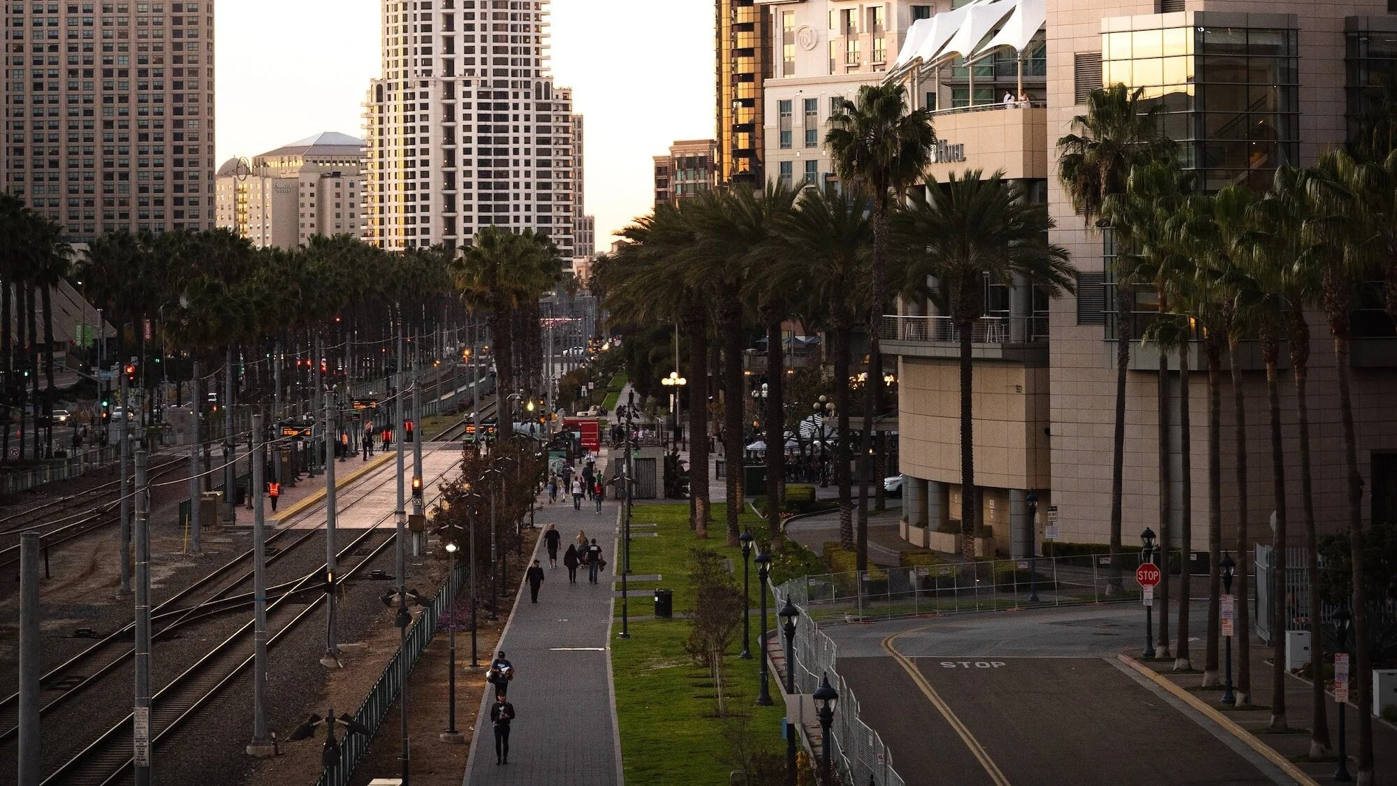 City street with palm trees and tall buildings at sunset
