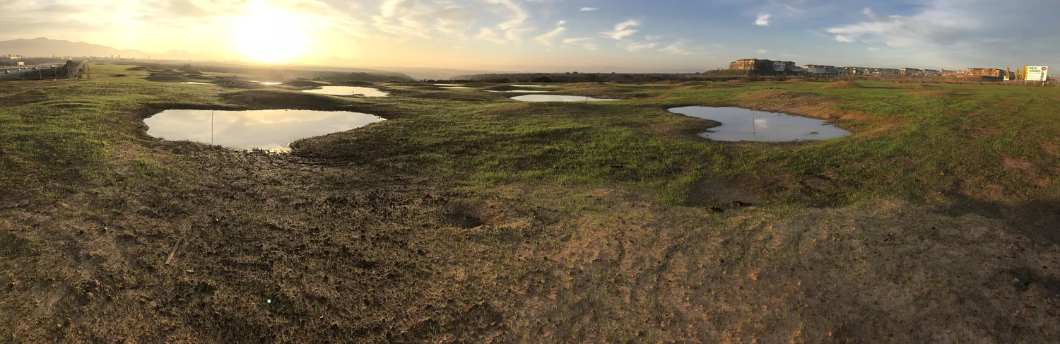 Ecological Restoration — RECON Environmental