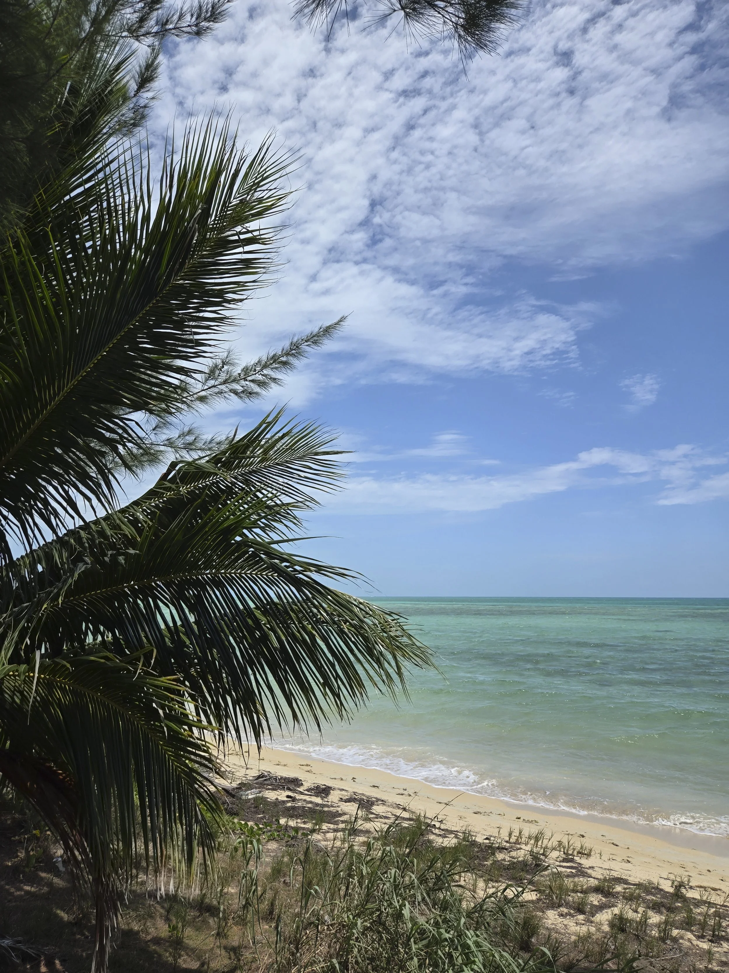 Bahamas-177.jpg