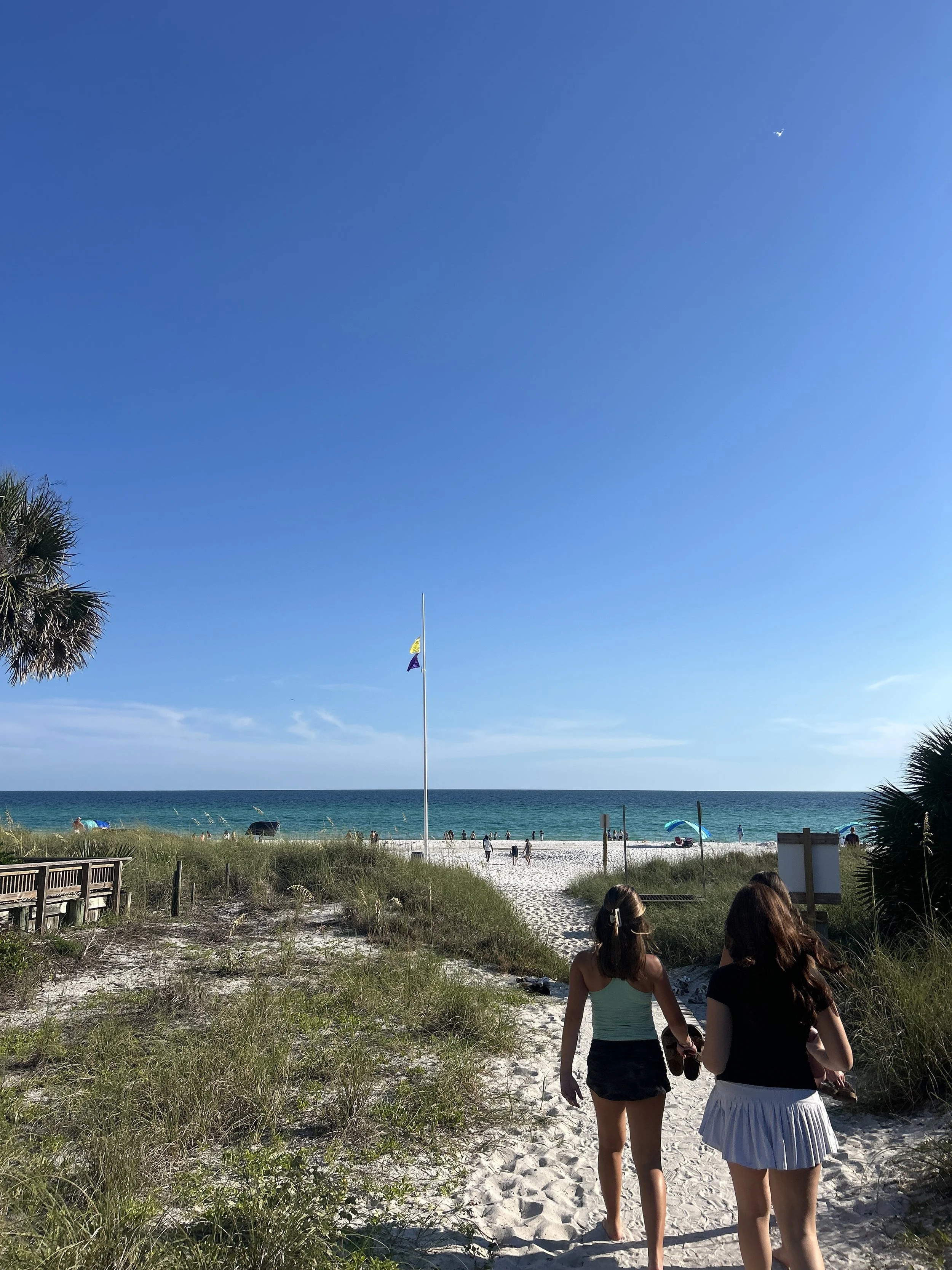 IMG_3318.jpeg