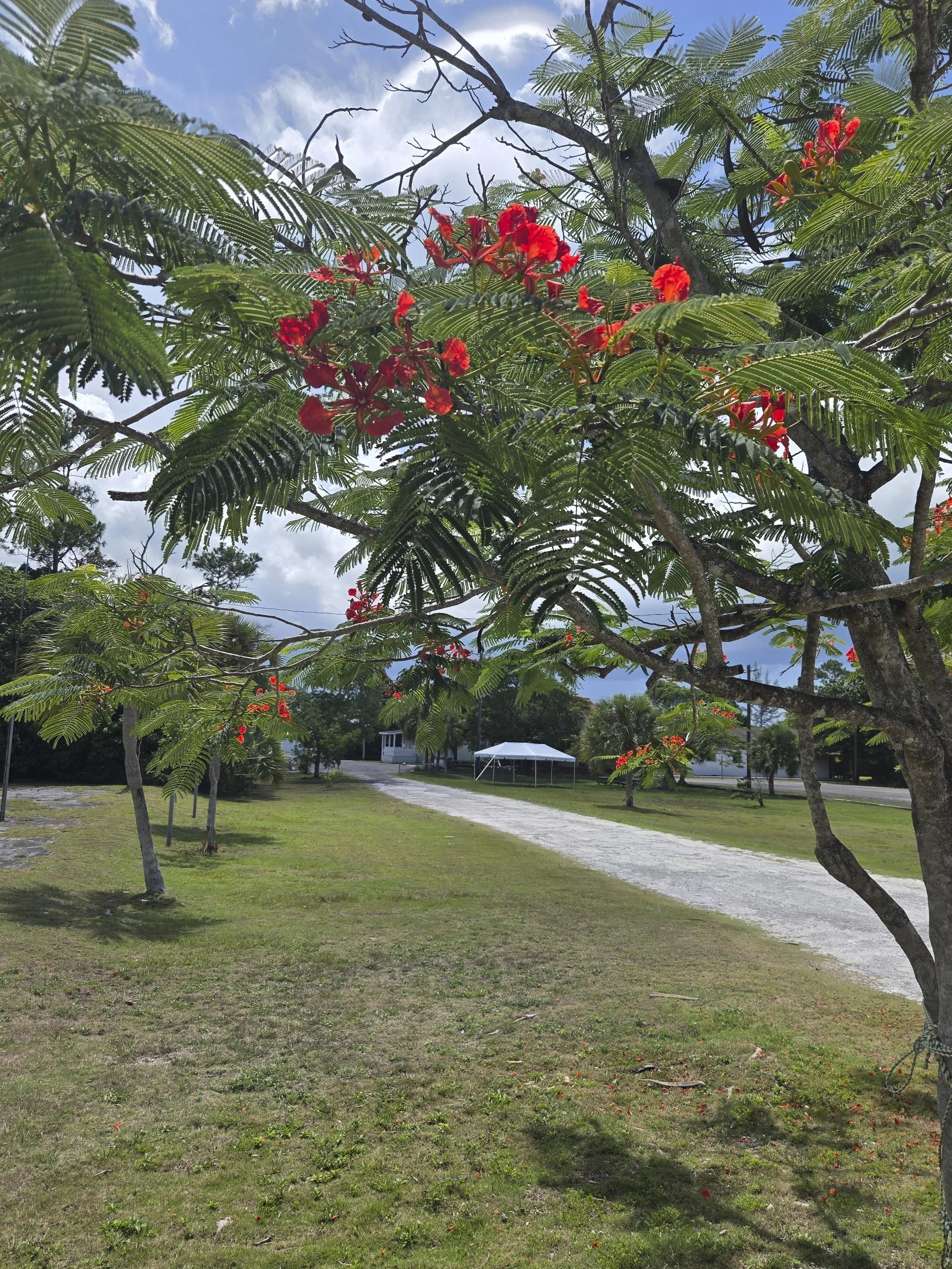 Bahamas-102.jpg