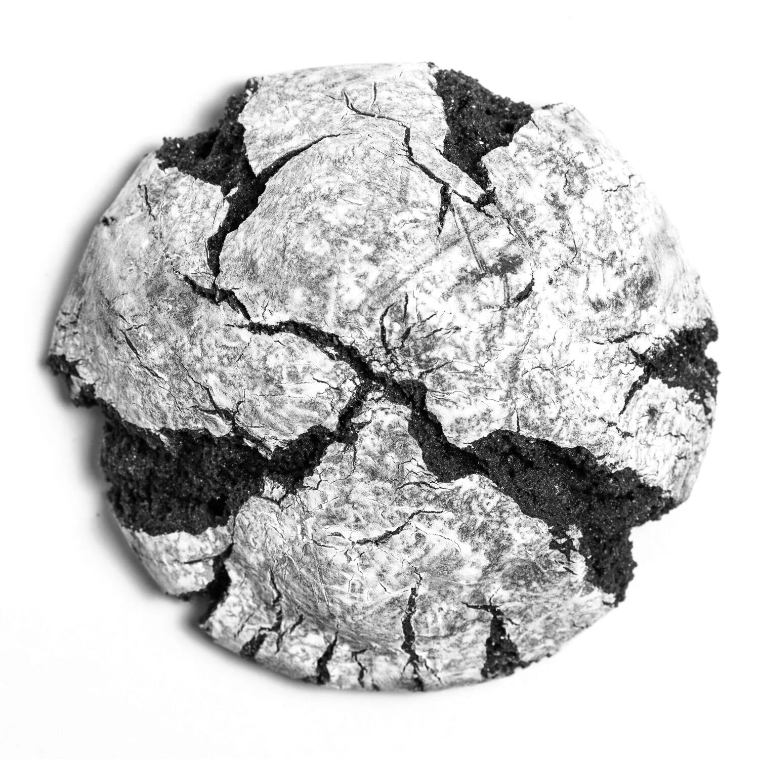 Salt Lake City and Park City Food Photographer - Nick Sokoloff photo of cookie