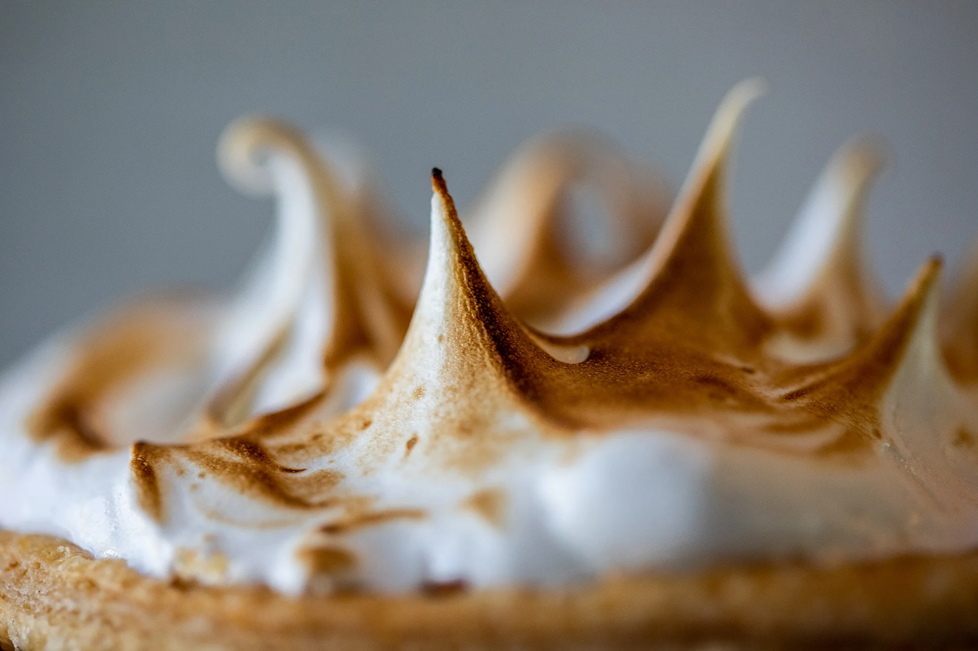 Salt Lake City Commercial, Headshot & Portrait Photographer - Nick Sokoloff - Utah