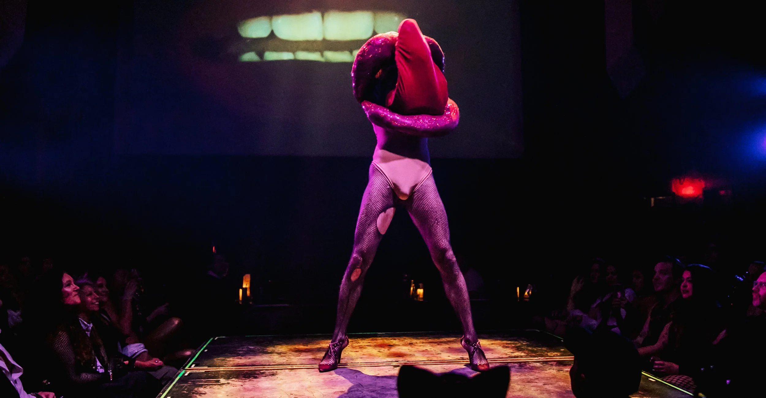 RockyHorror_HoY007.jpg