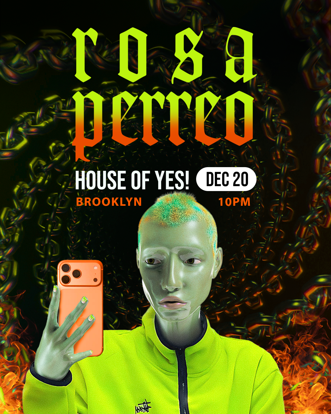ROSA-DIC20-FEED.png