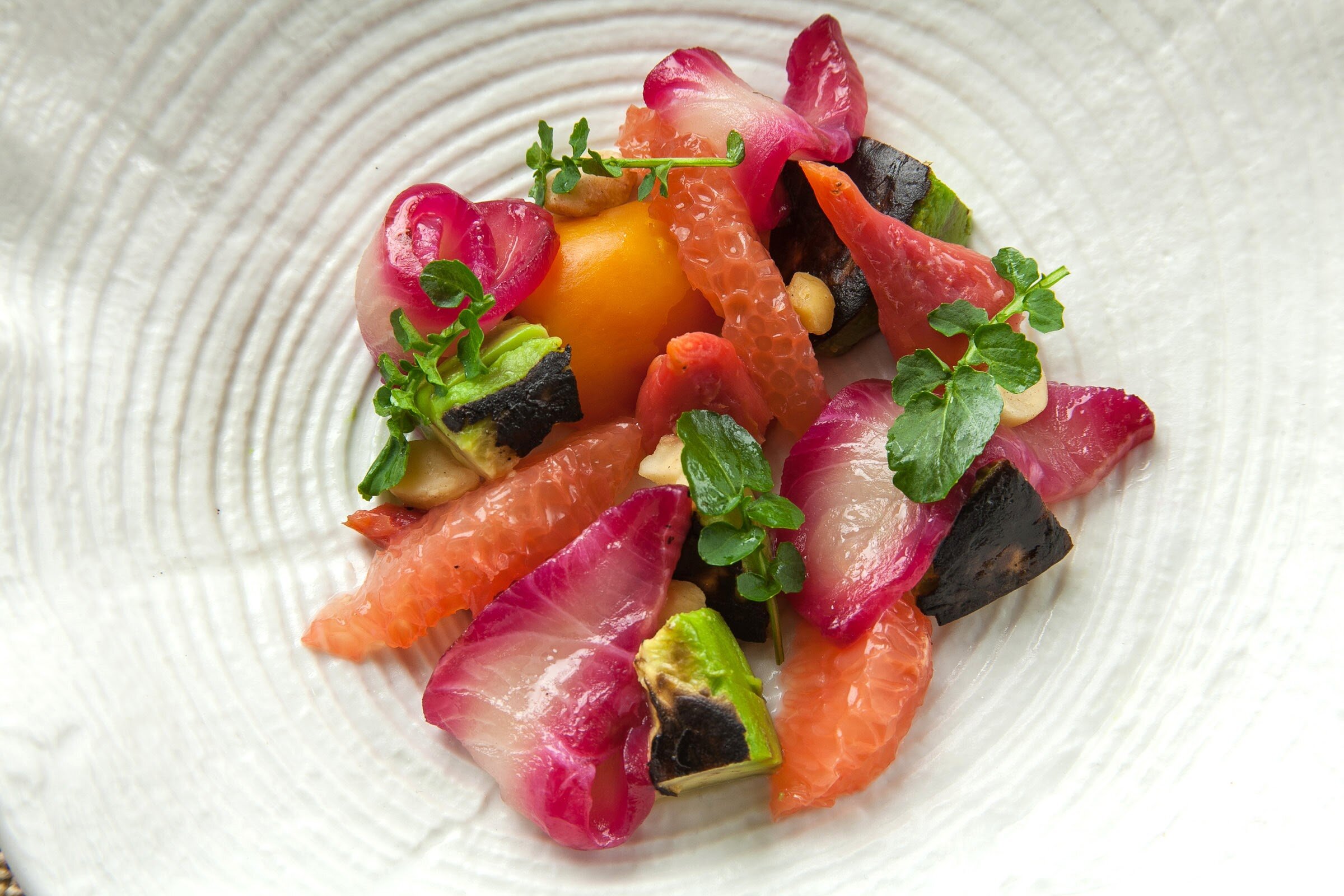  Beet Cured Kampachi, Citrus, Charred Avocado Salad 