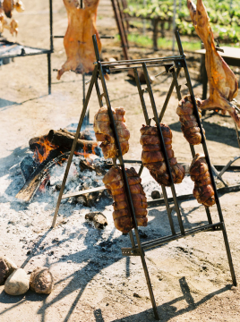  Whole Pork shoulders cooking over an open fire in a vineyard  