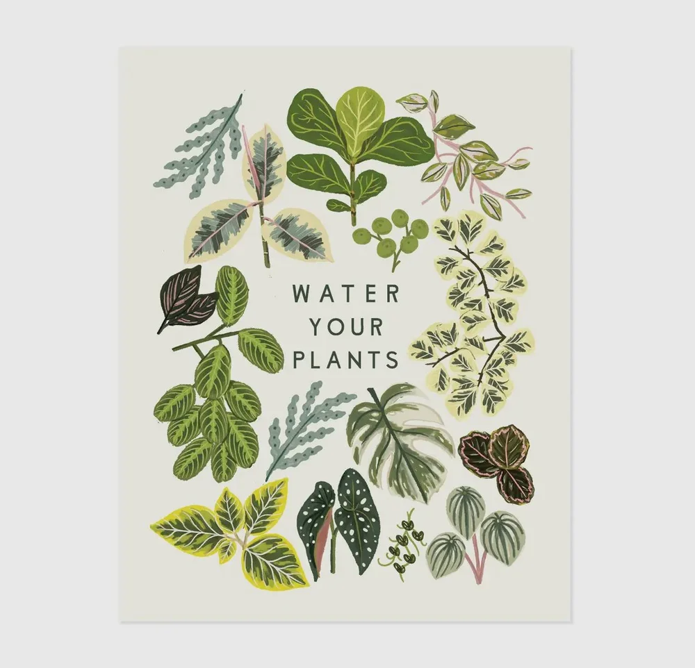 Planty Prints by Little Low  The Gardeners Wife