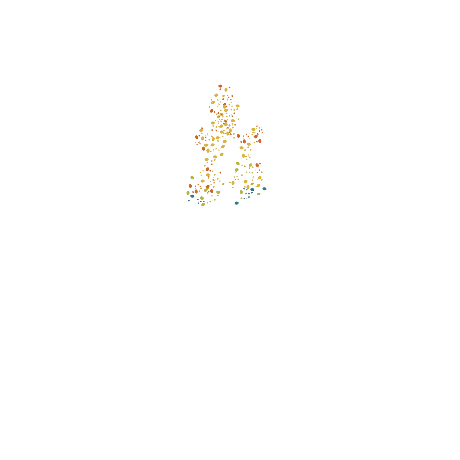 deciduous knits