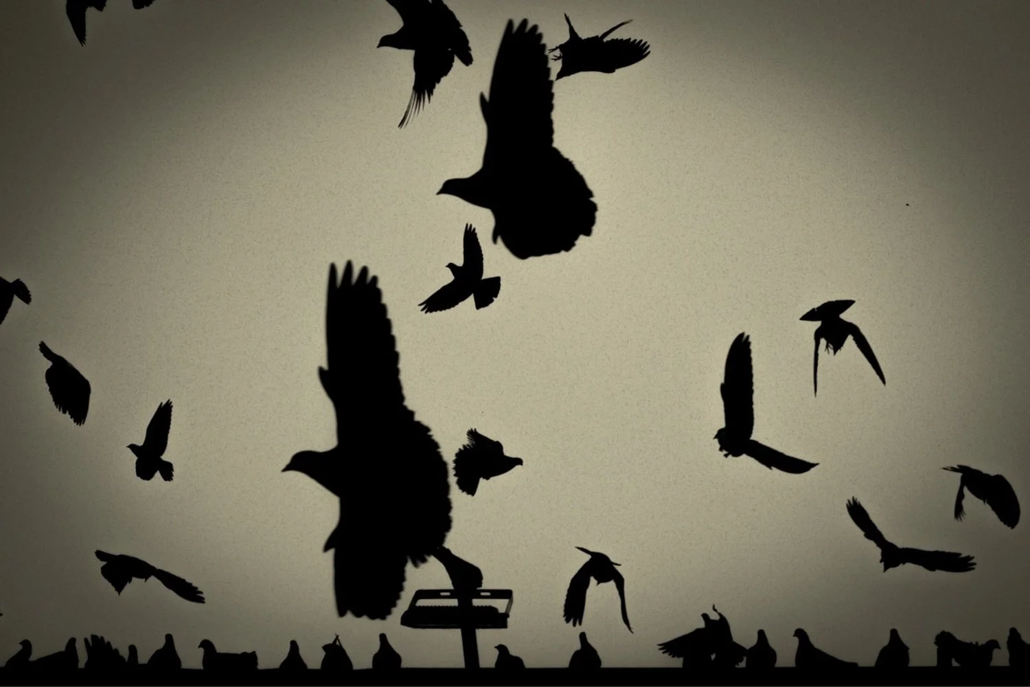 shadow-dancer-poster.jpg