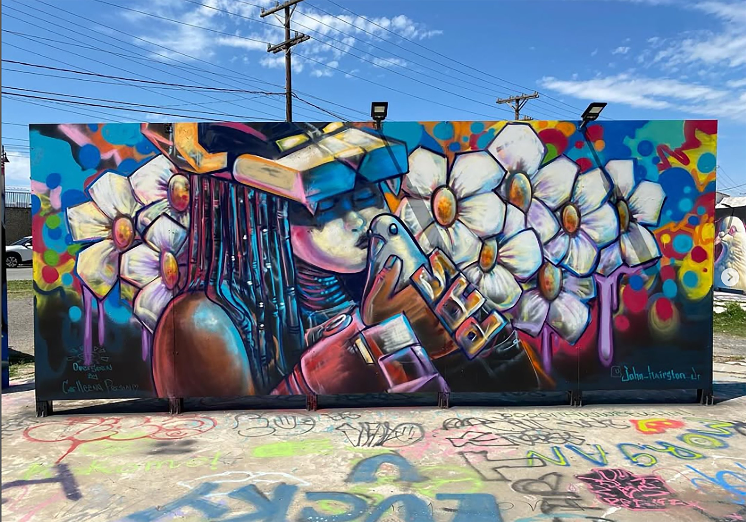 peace wall net.jpg