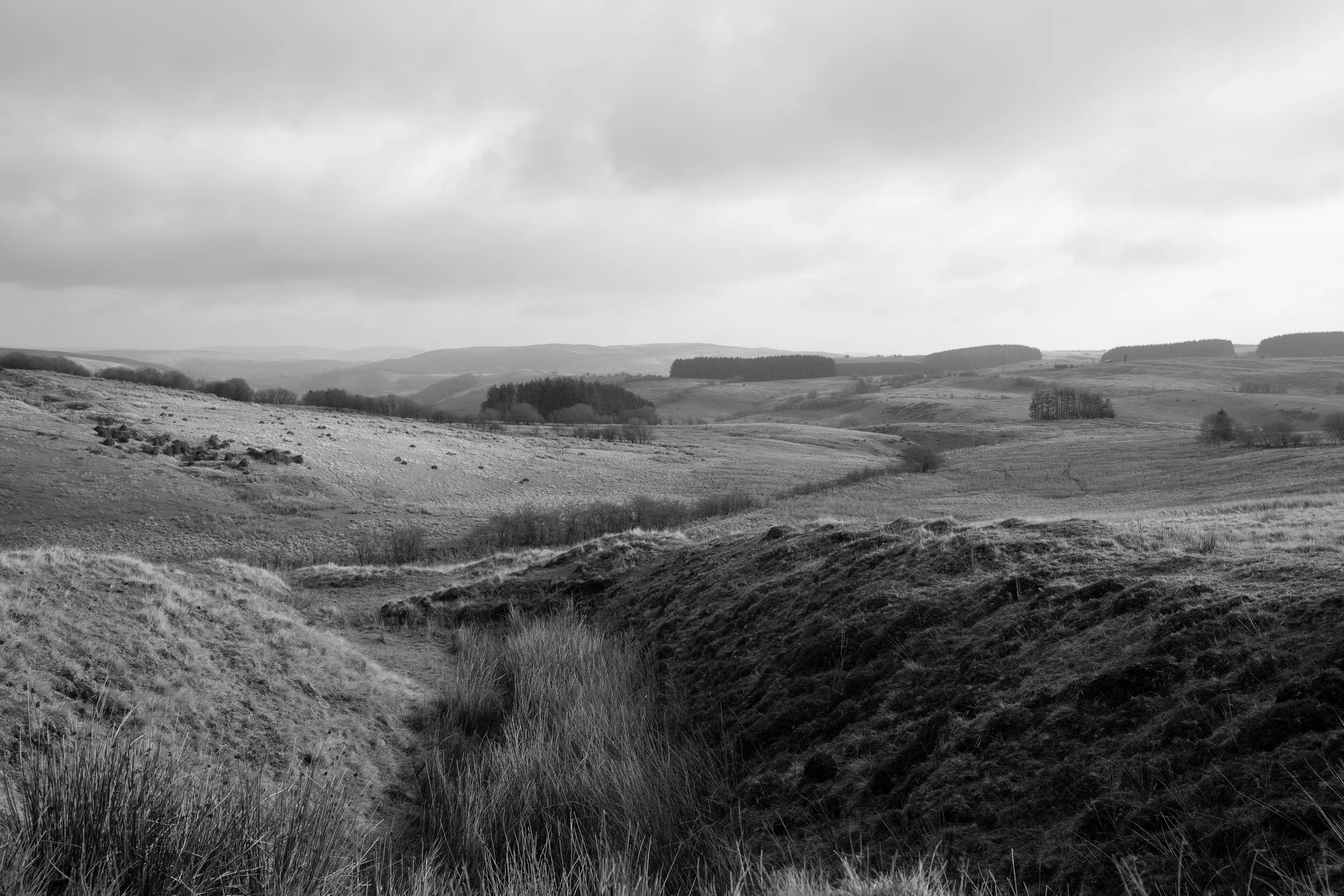 Hill Pastures