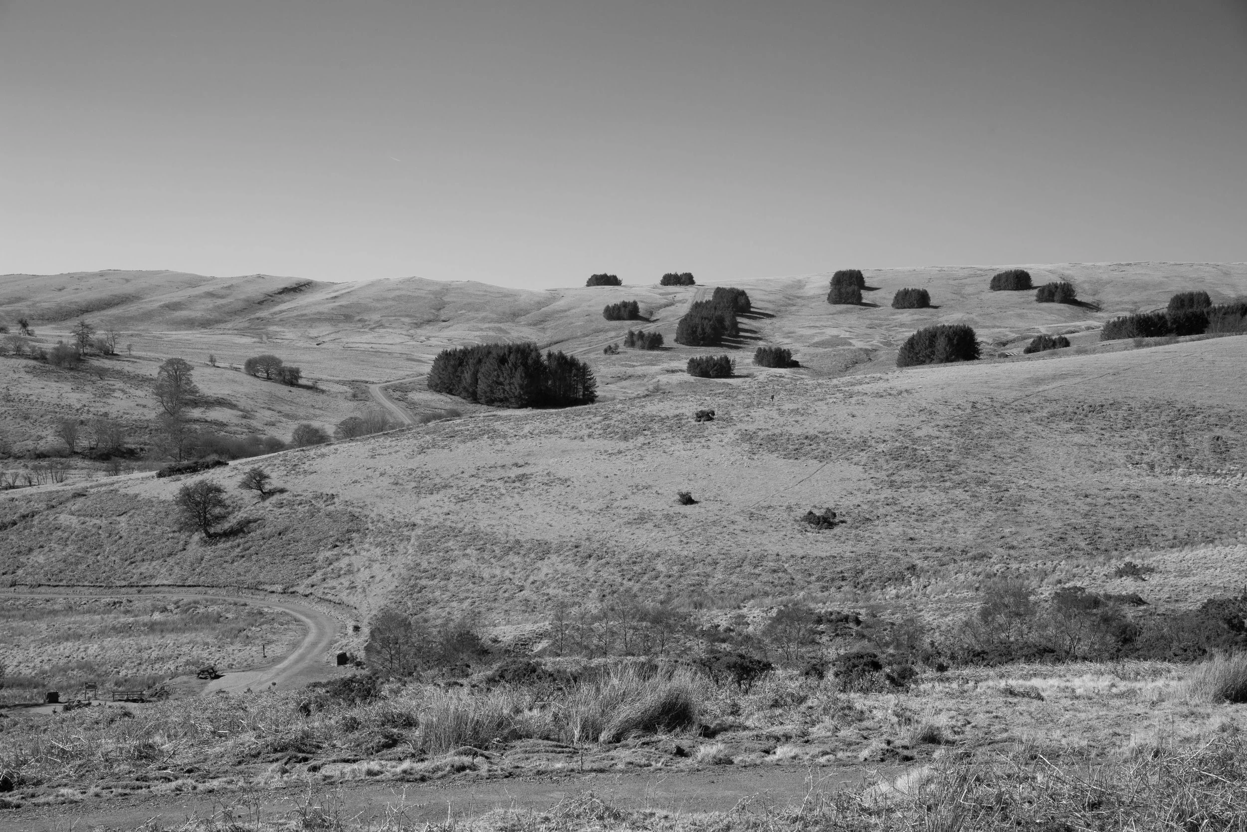 Upland Environment