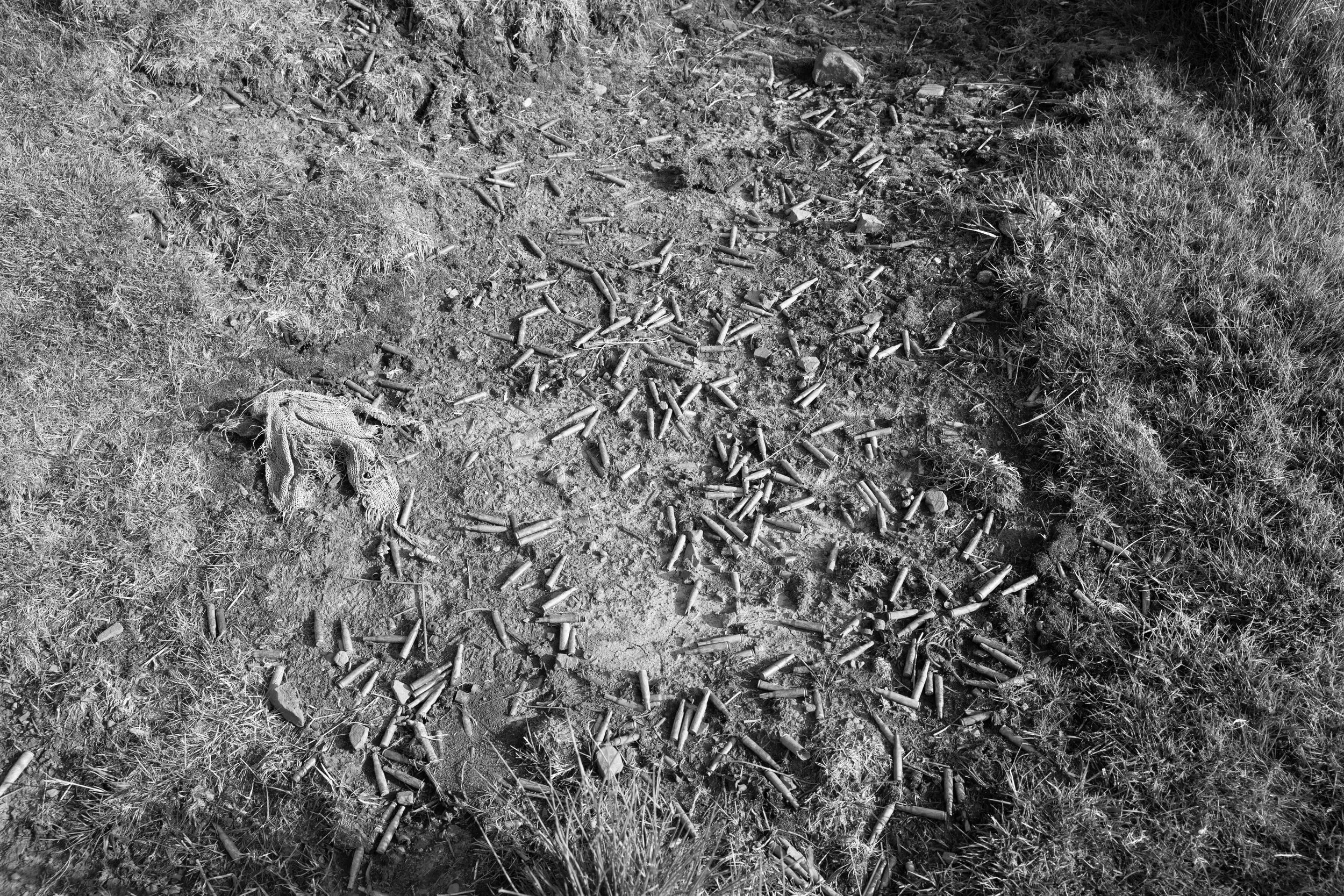 Blank Ammunition