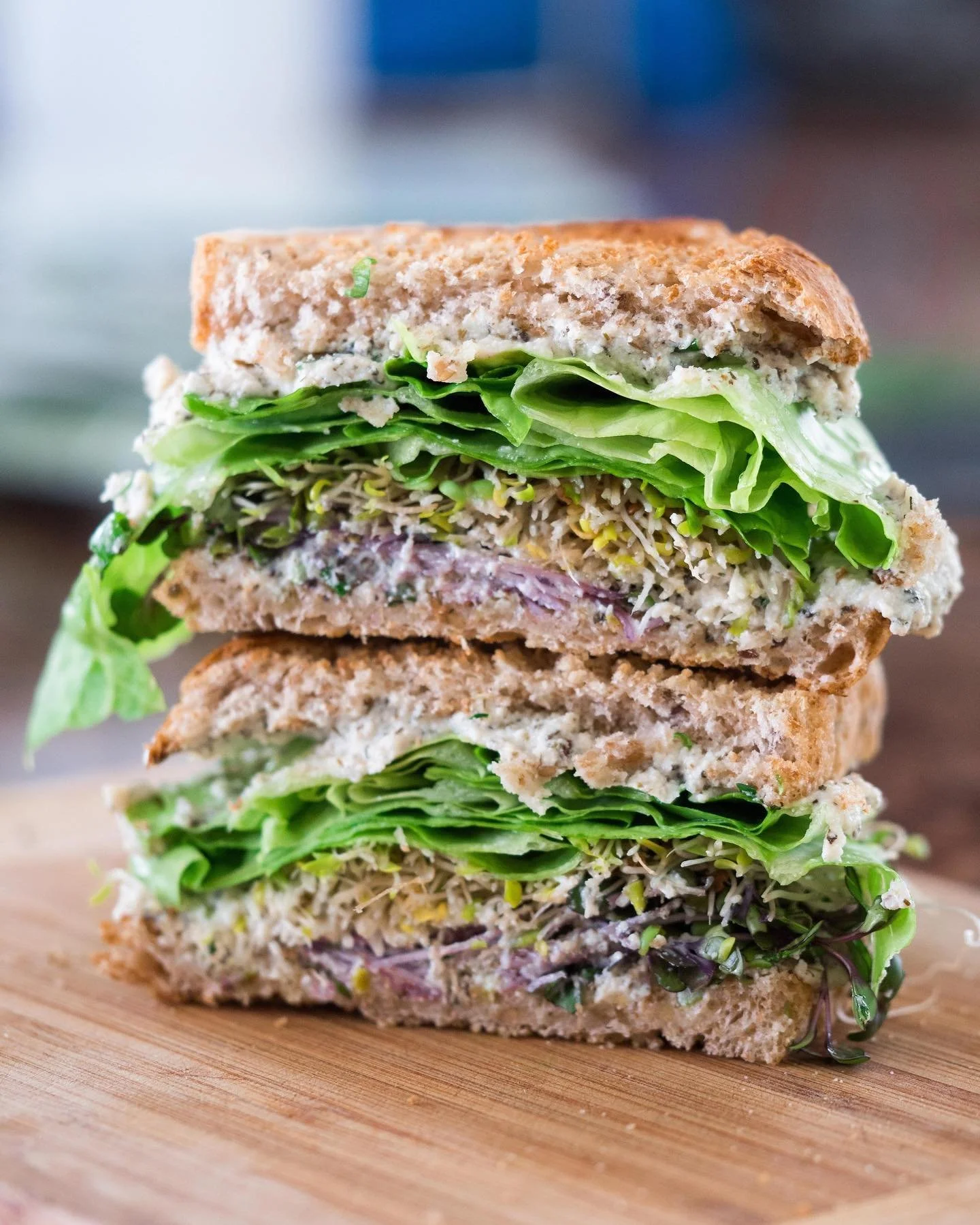 Here&rsquo;s to one leafy sprouty sandwich! 🥪⁠
⁠
One wouldn&rsquo;t think something like this would taste great, but let me tell you something - when your mayo is combined with all the seasonings, and you layer this between two pieces of bread and f