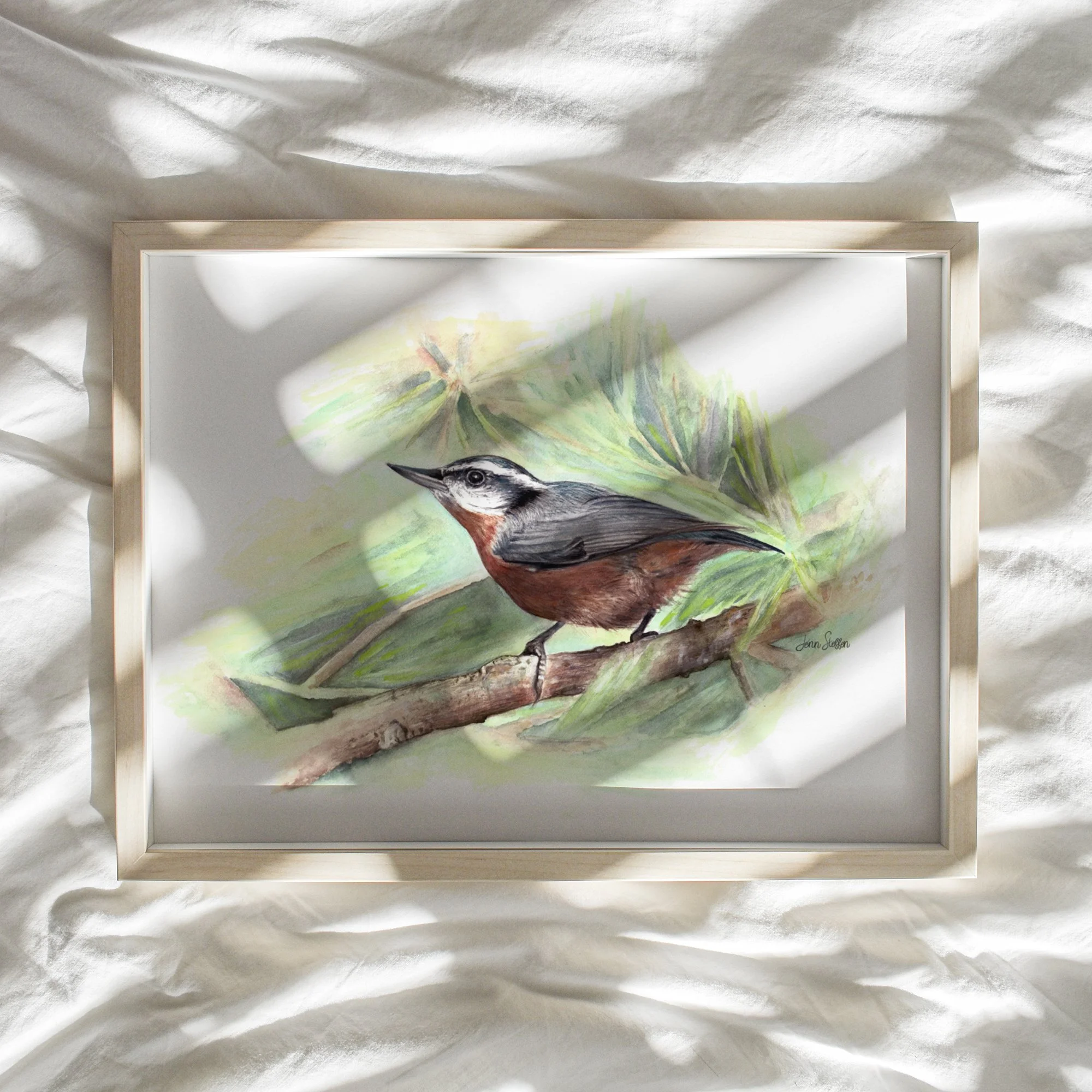 JennSteffenArt_WebsiteMockup-Red-Breasted Nuthatch_Watercolor.jpg