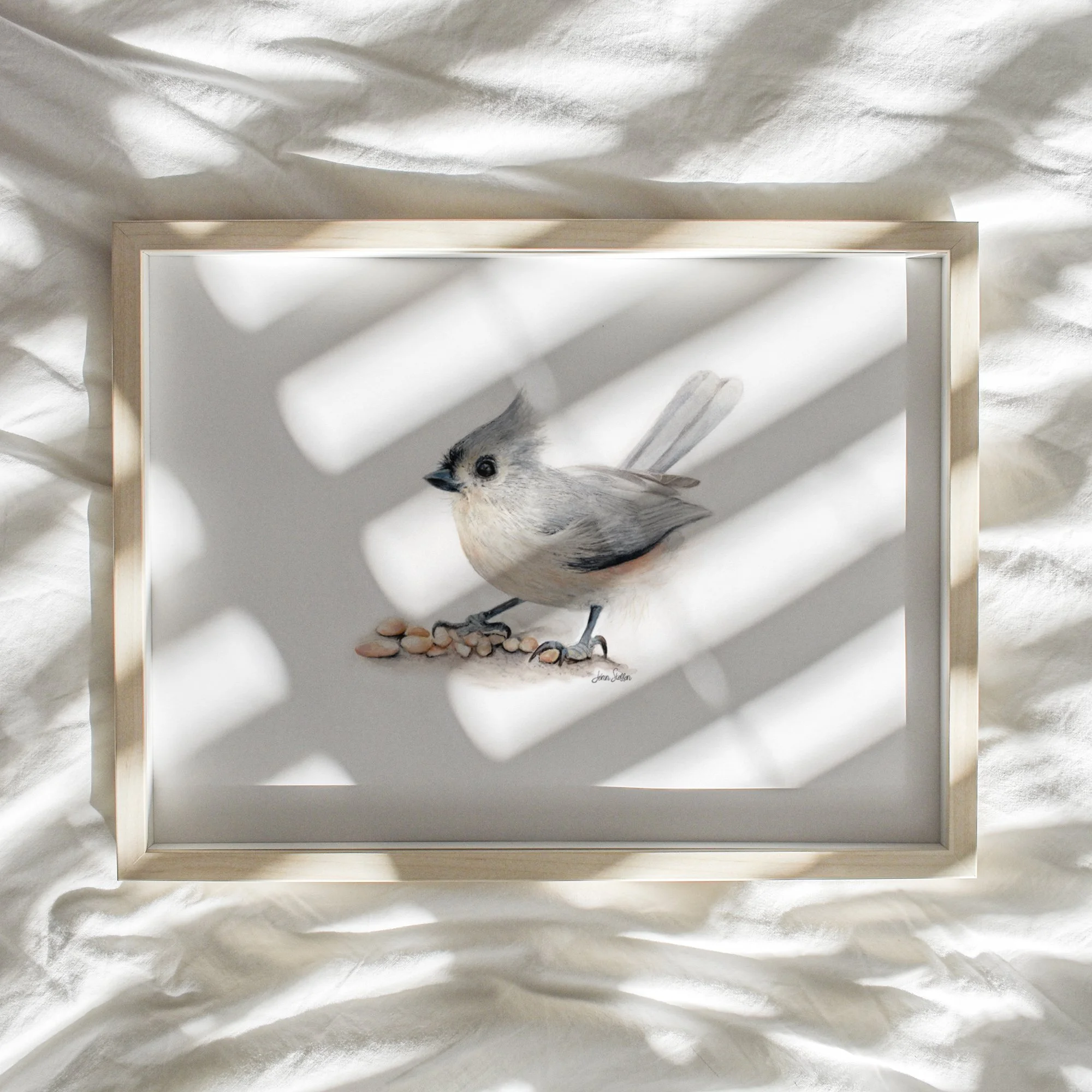 JennSteffenArt_TuftedTitmouse_WebsiteMockup-Watercolor2.jpg