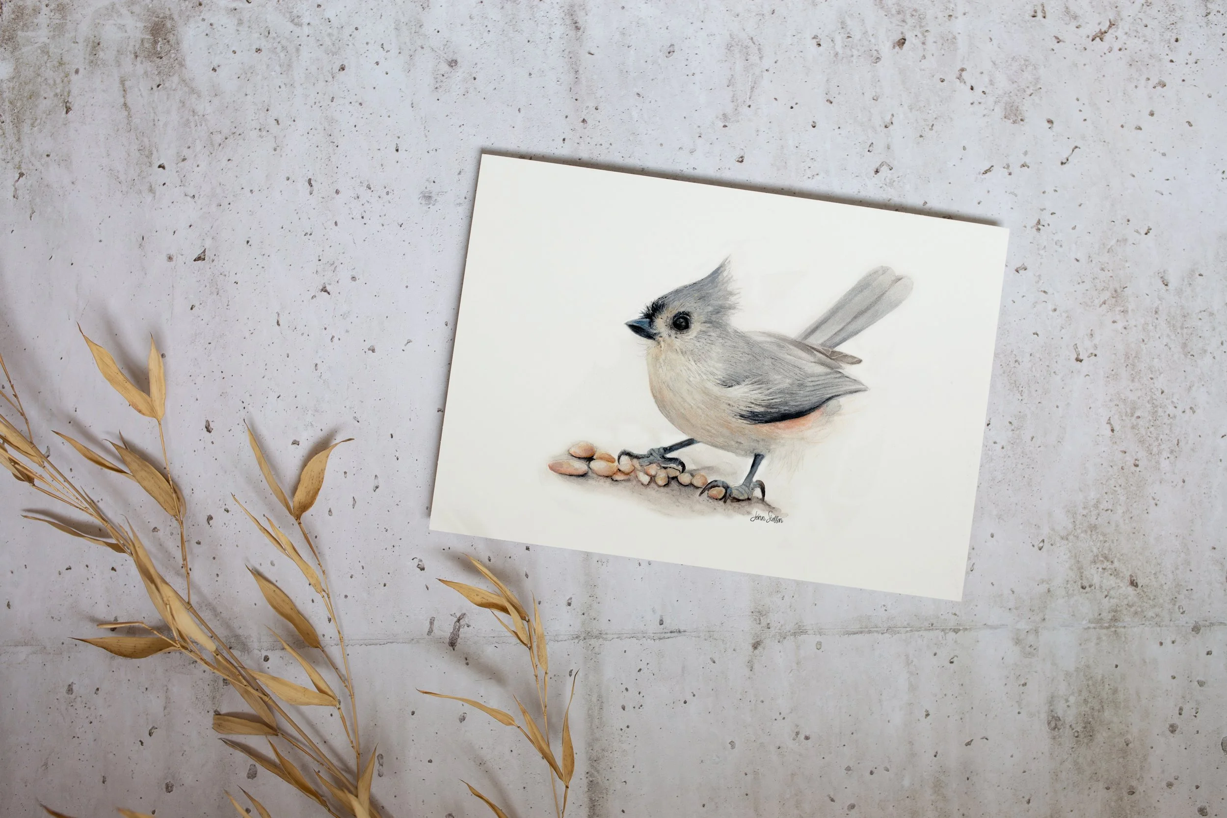 JennSteffenArt_TuftedTitmouse_Mockup_unframed_print.jpg