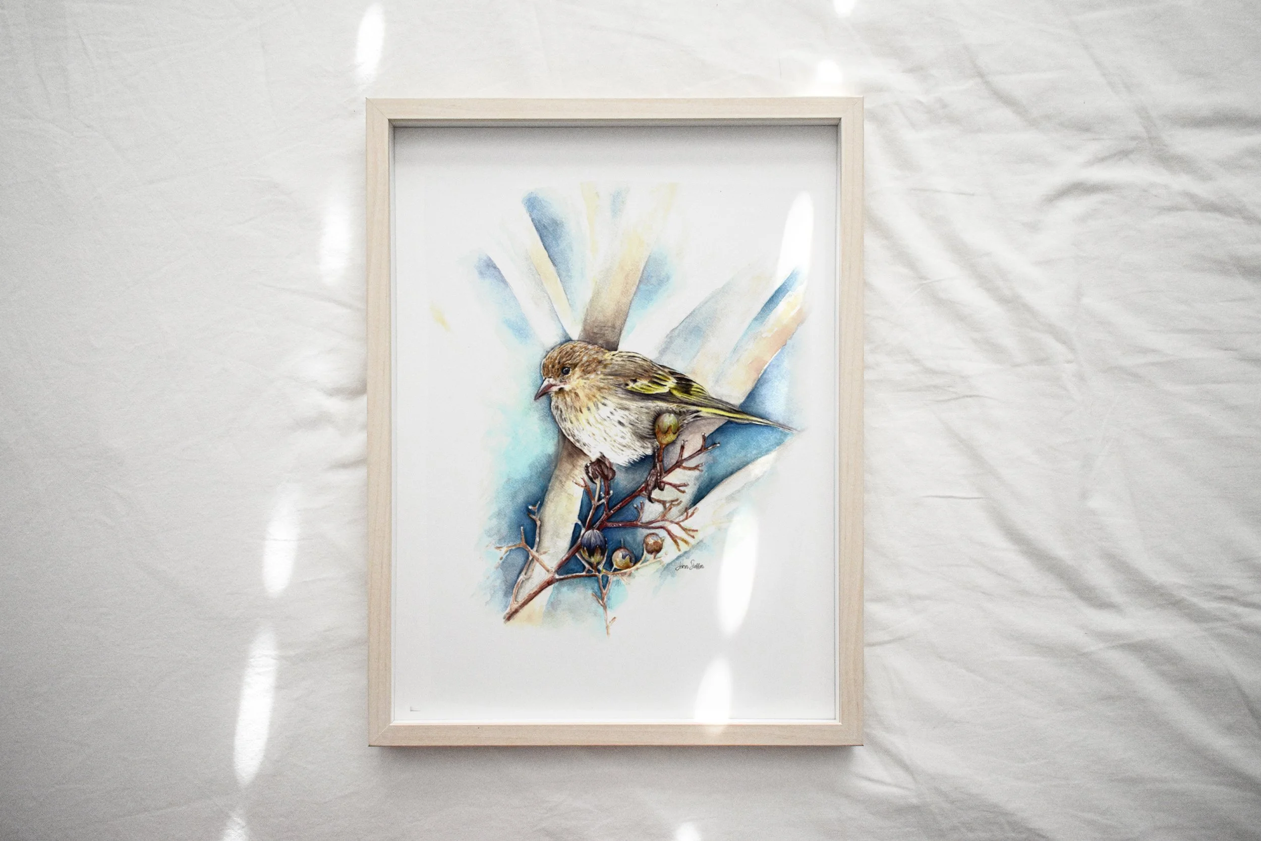 JennSteffenArt_PineSiskin_WebsiteMockup-1.jpg