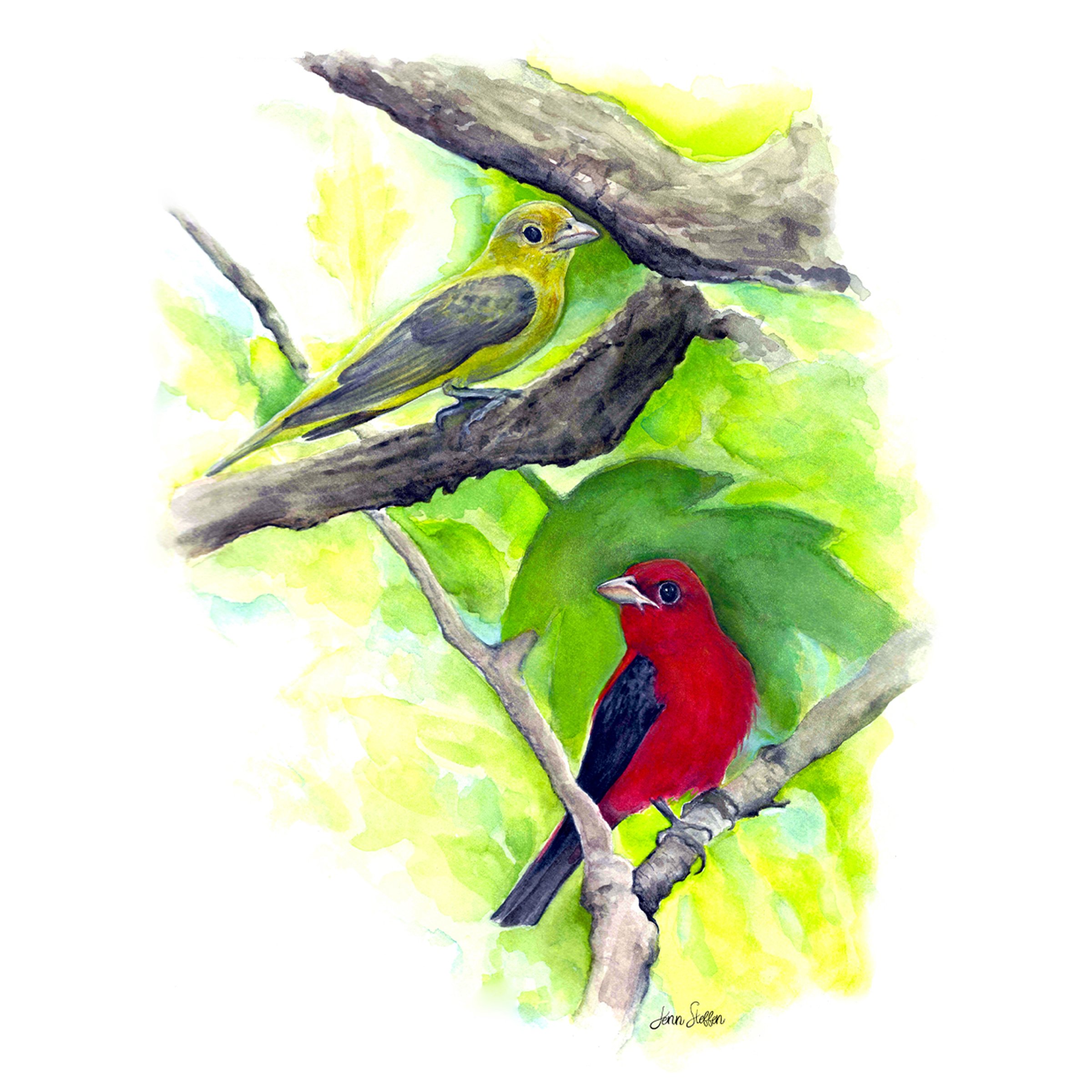Scarlet Tanagers 2_JennSteffenArt©.jpg