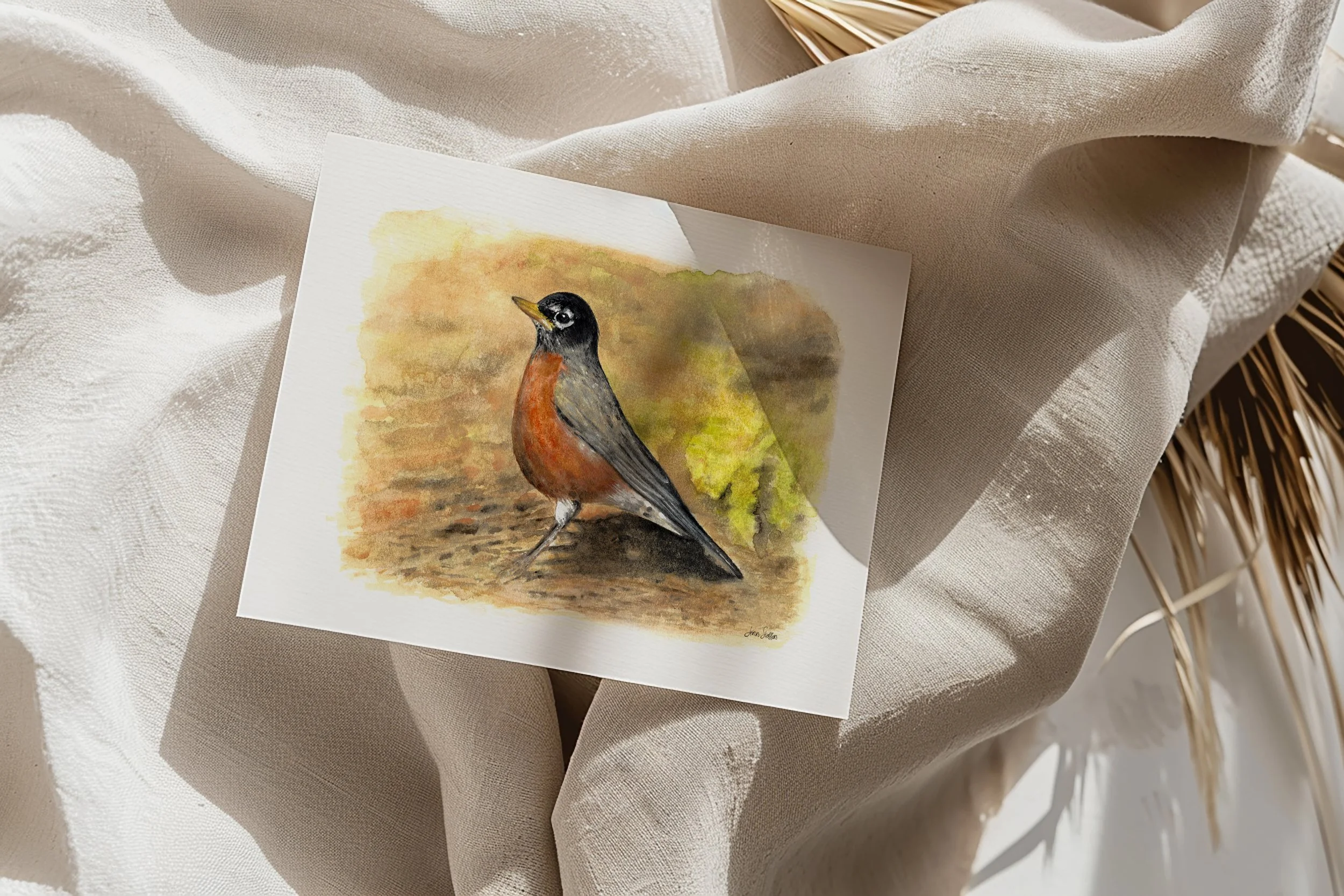 American Robin II – Unframed Art Print