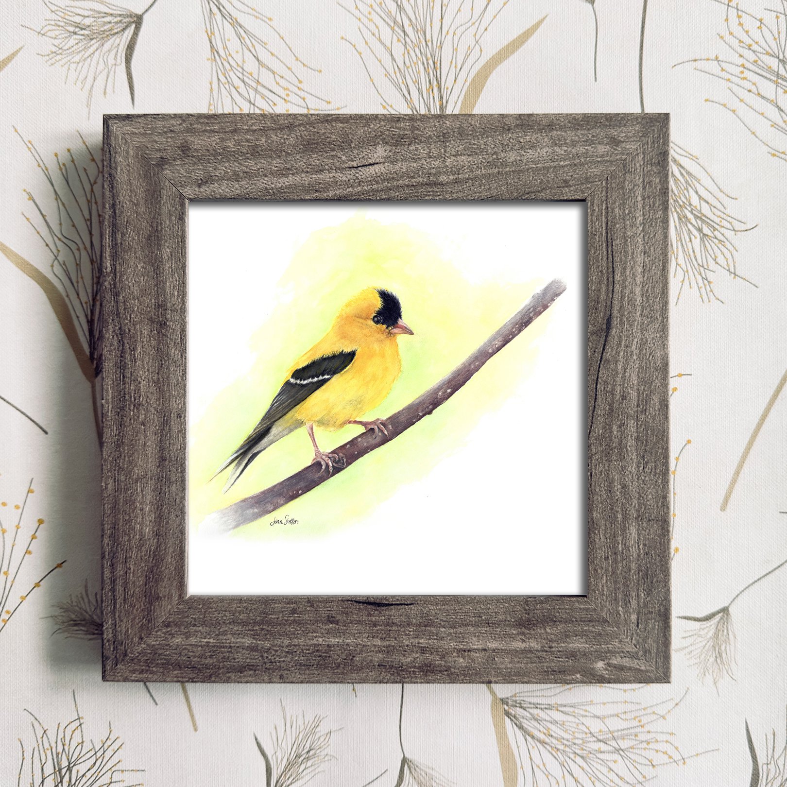 New_American_Goldfinch_Natural Frame Color_JennSteffenArt.jpg