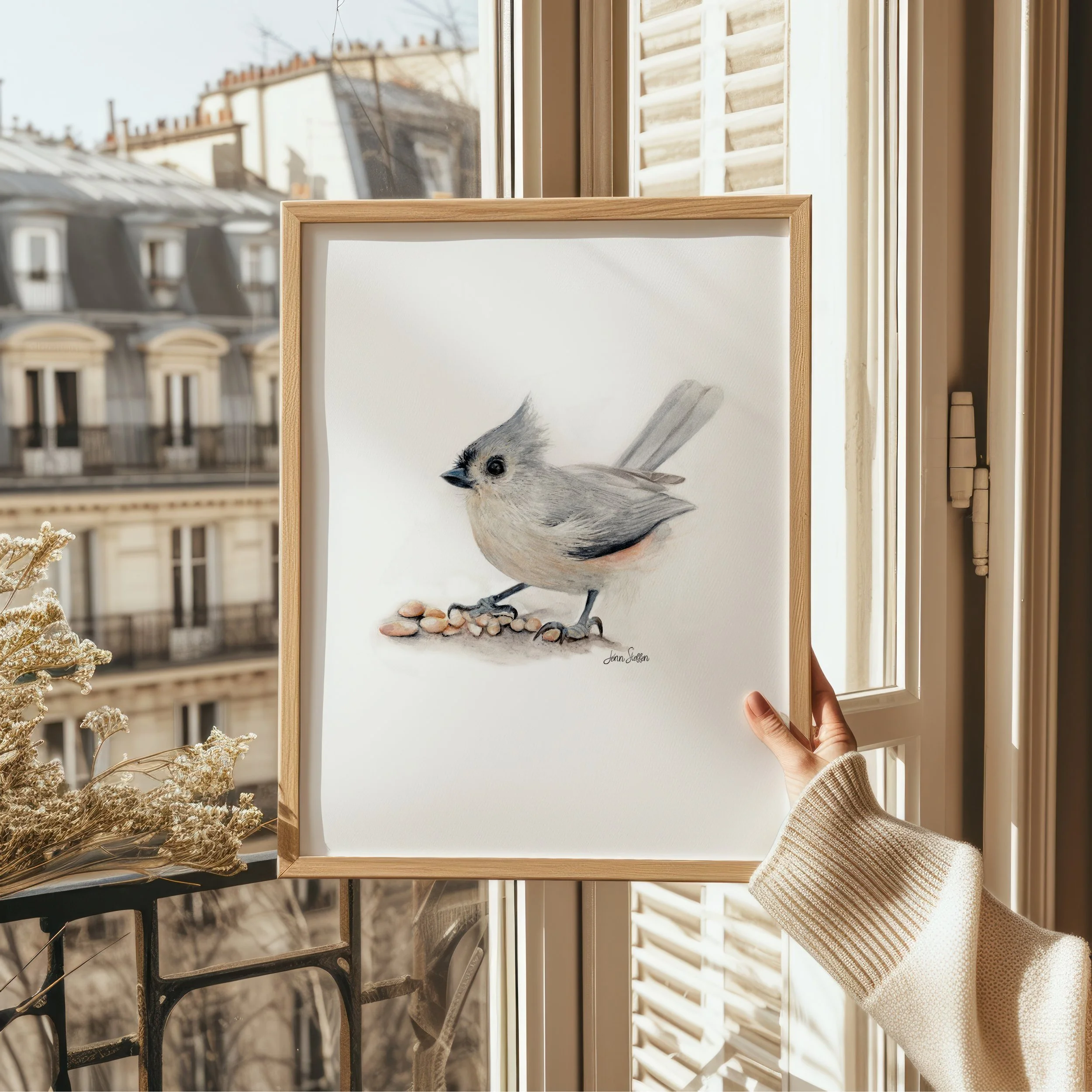 JennSteffenArt_TuftedTitmouse-Frame.jpg