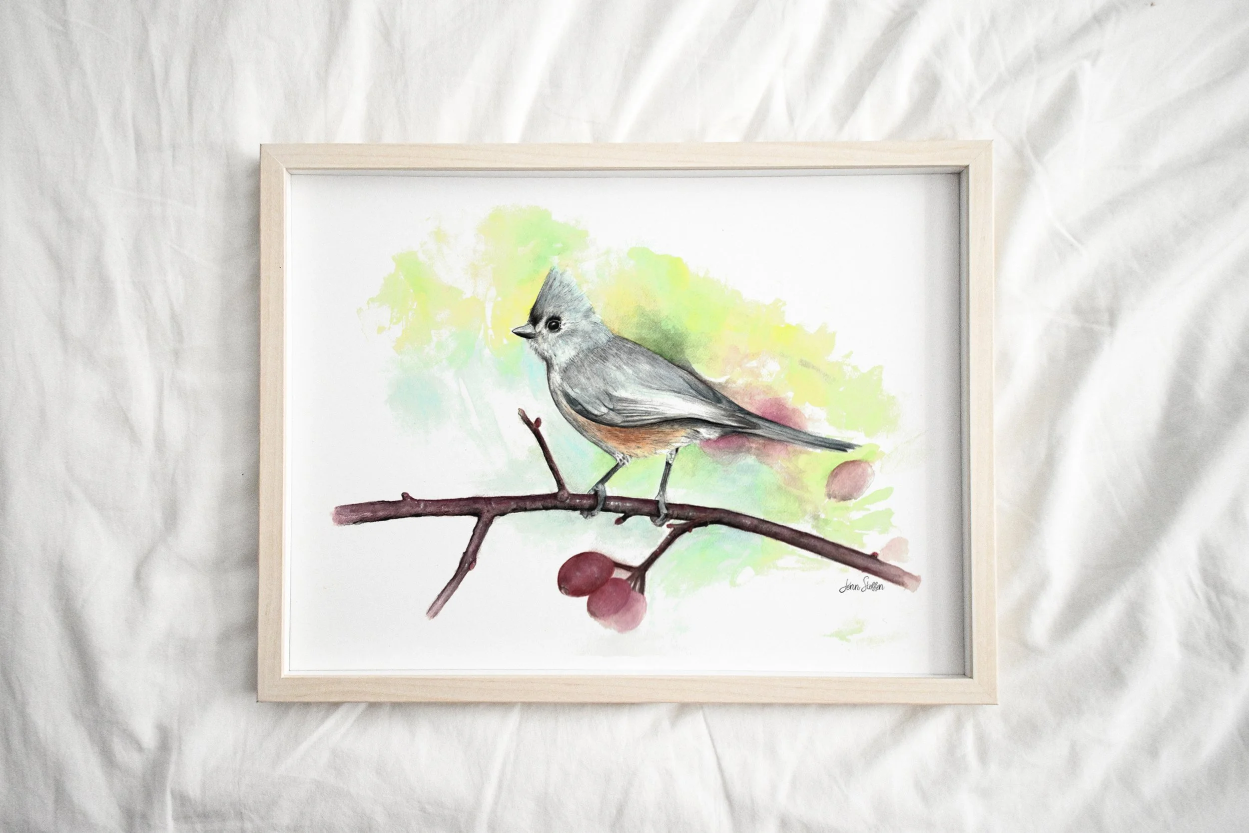 JennSteffenArt_uftedTitmouse2-_LightFrame.jpg