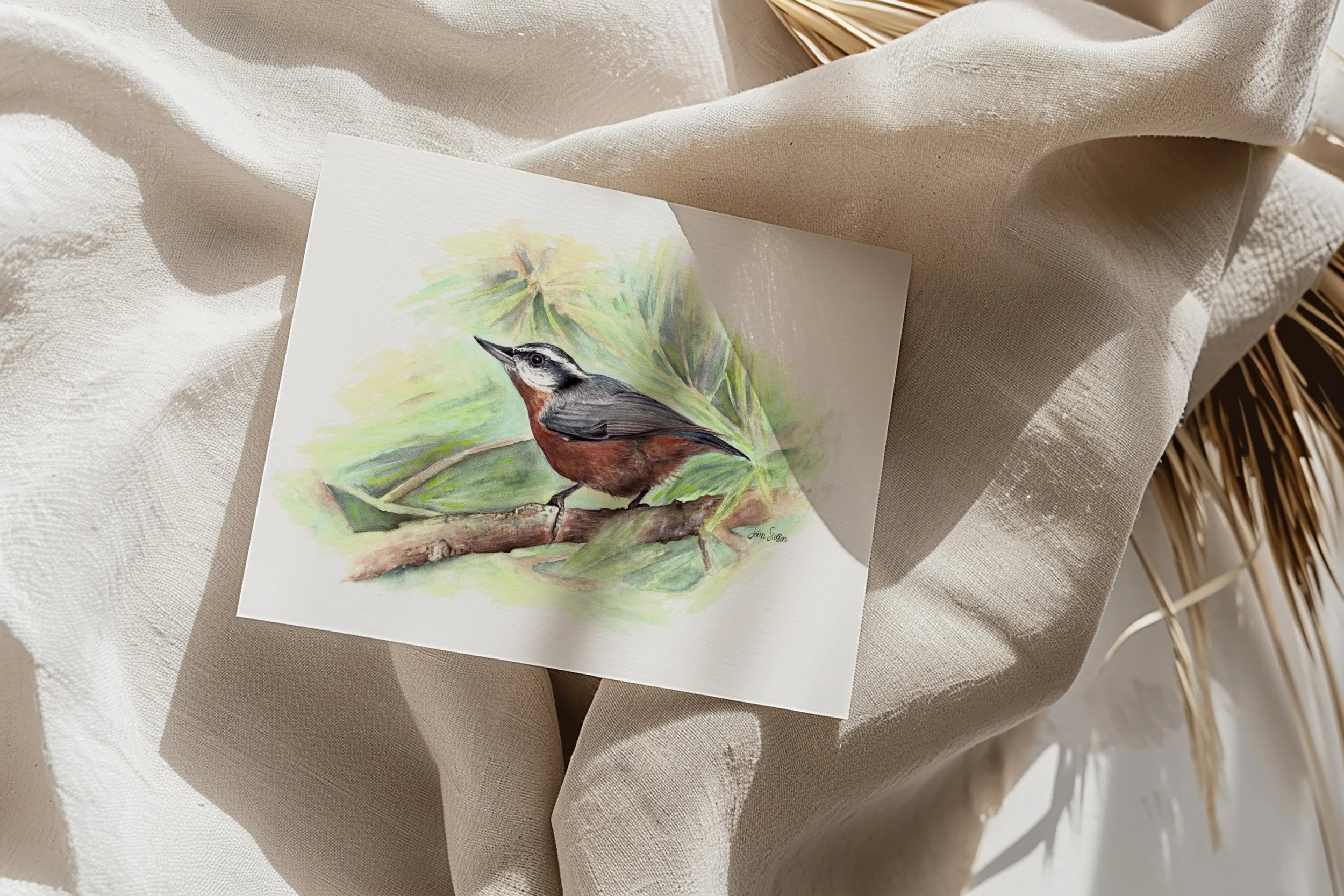 Red-Breasted Nuthatch Watercolor Art Print | Bird Wall Art