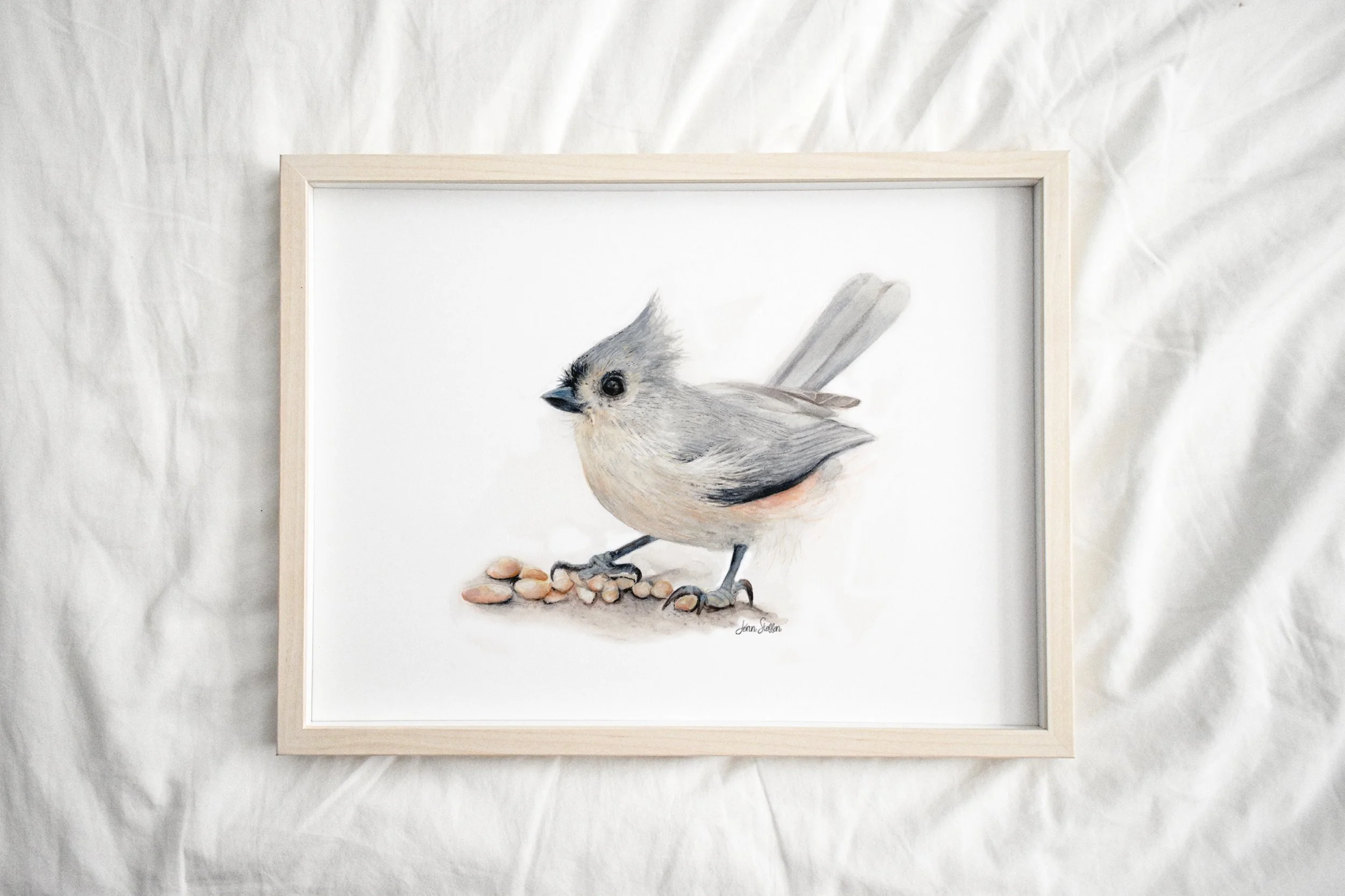 JennSteffenArt_TuftedTitmouse_LightFrame.jpg