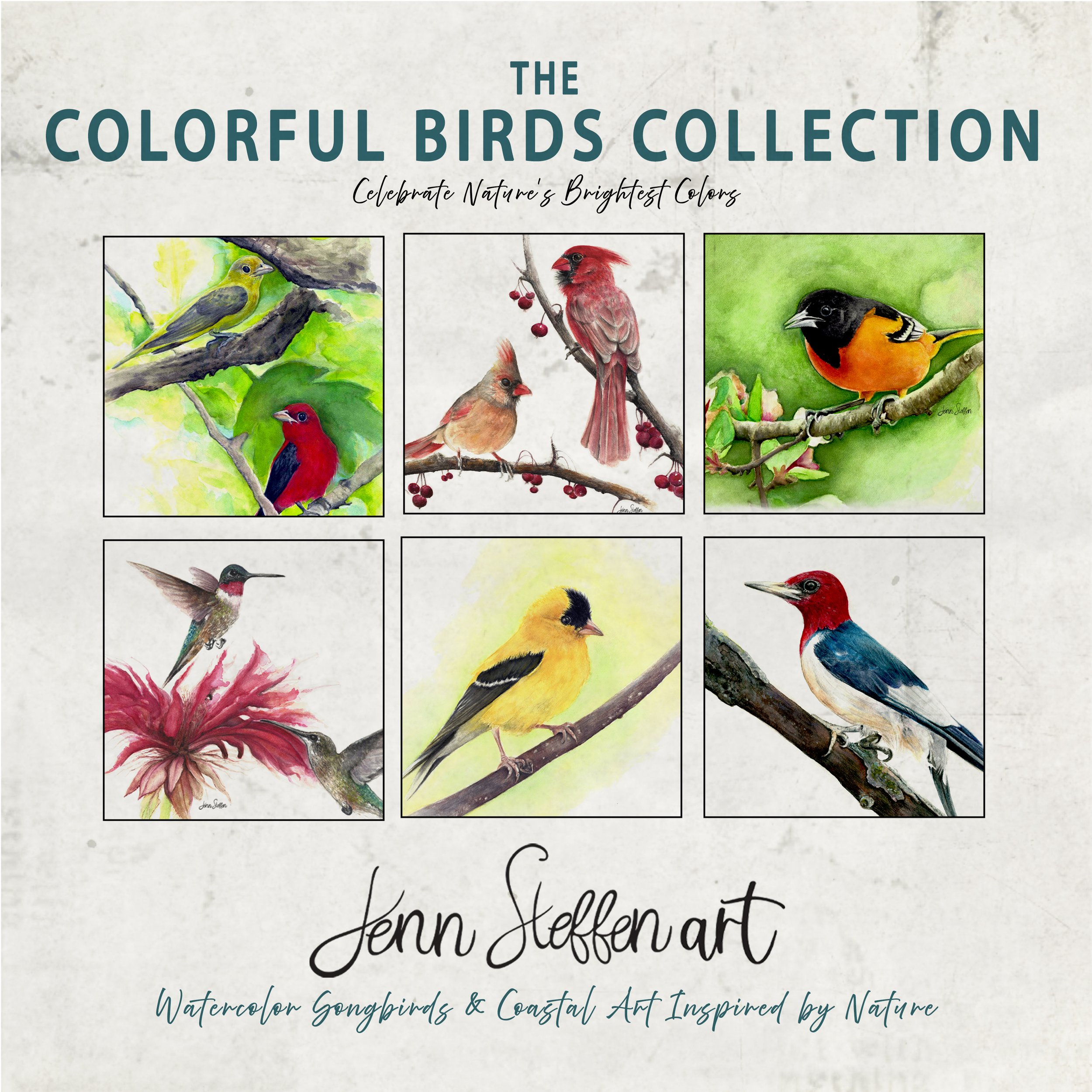 JennSteffenArt_Etsy_ColorfulSongbirdsCollection.jpg