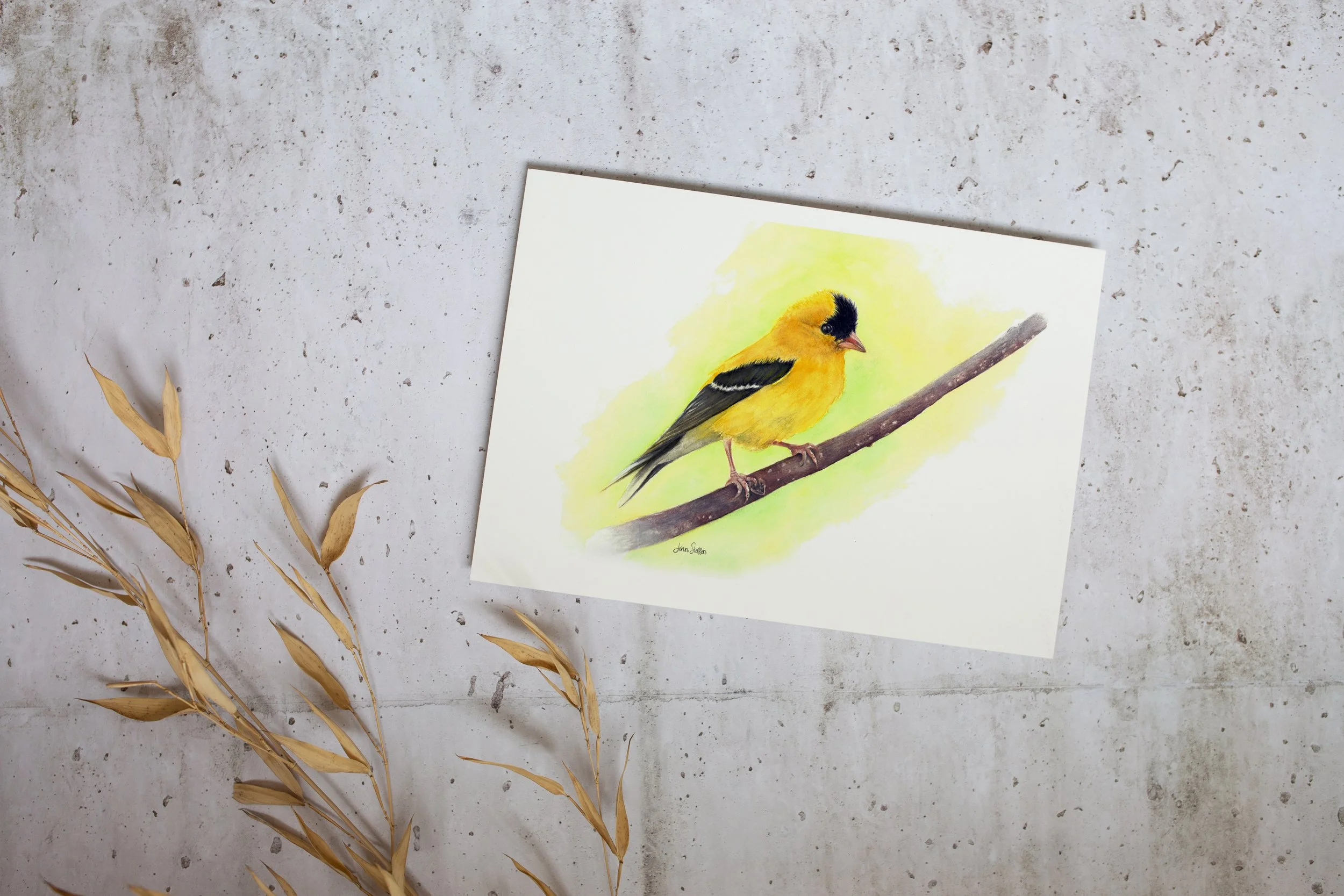 JennSteffenArt_AmericanGoldfinch2_Mockup_unframed_print.jpg