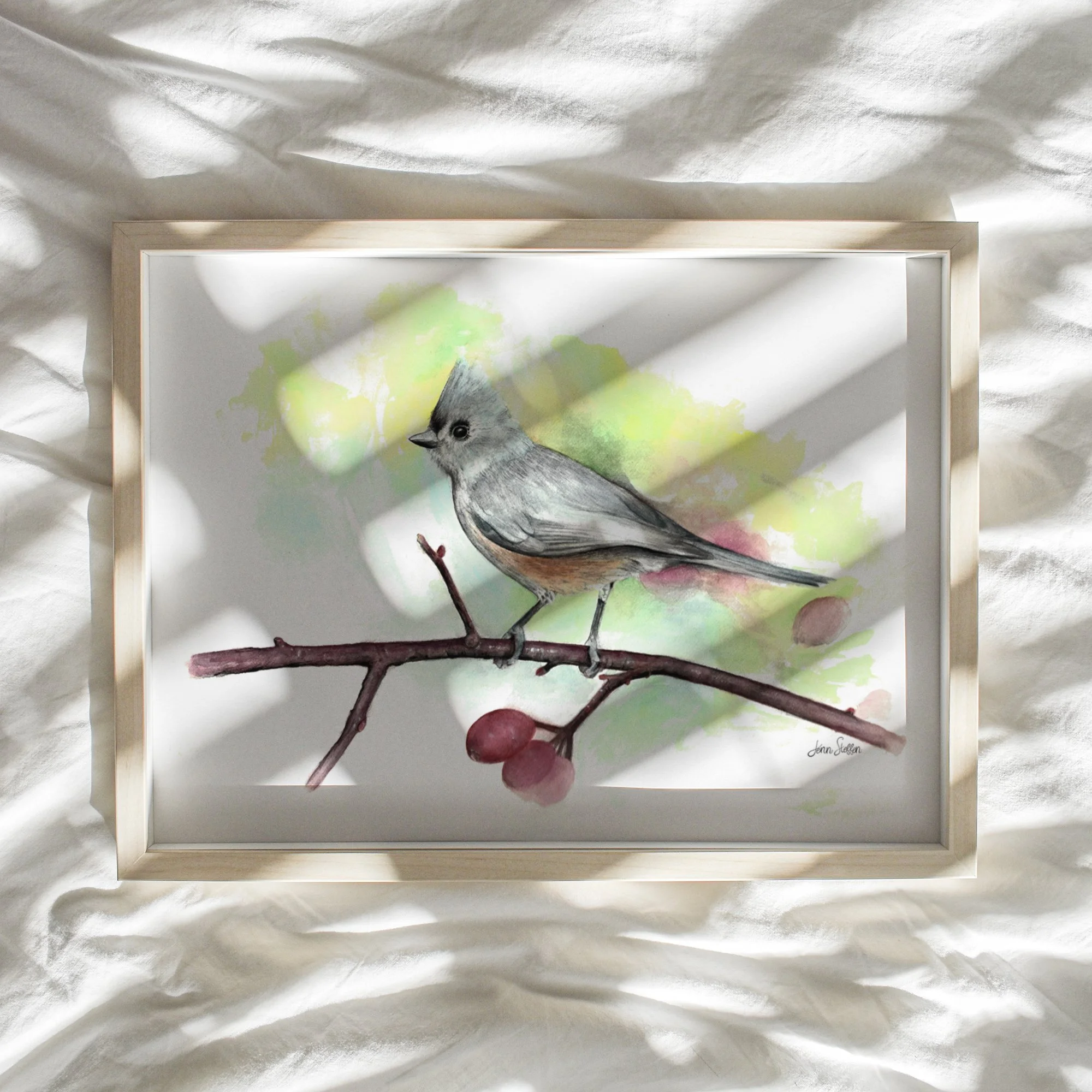 WebsiteMockup-2TuftedTitmouse2-Watercolor_JennSteffenArt.jpg