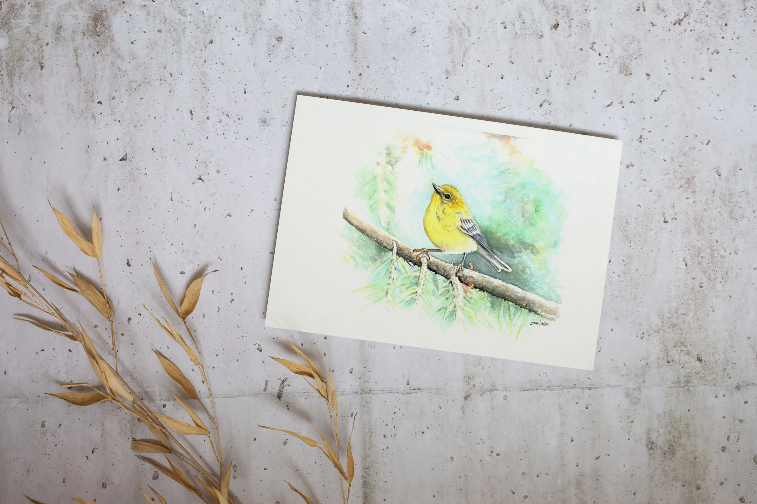 JennSteffenArt_PineWarbler_Mockup_unframed_print.jpg