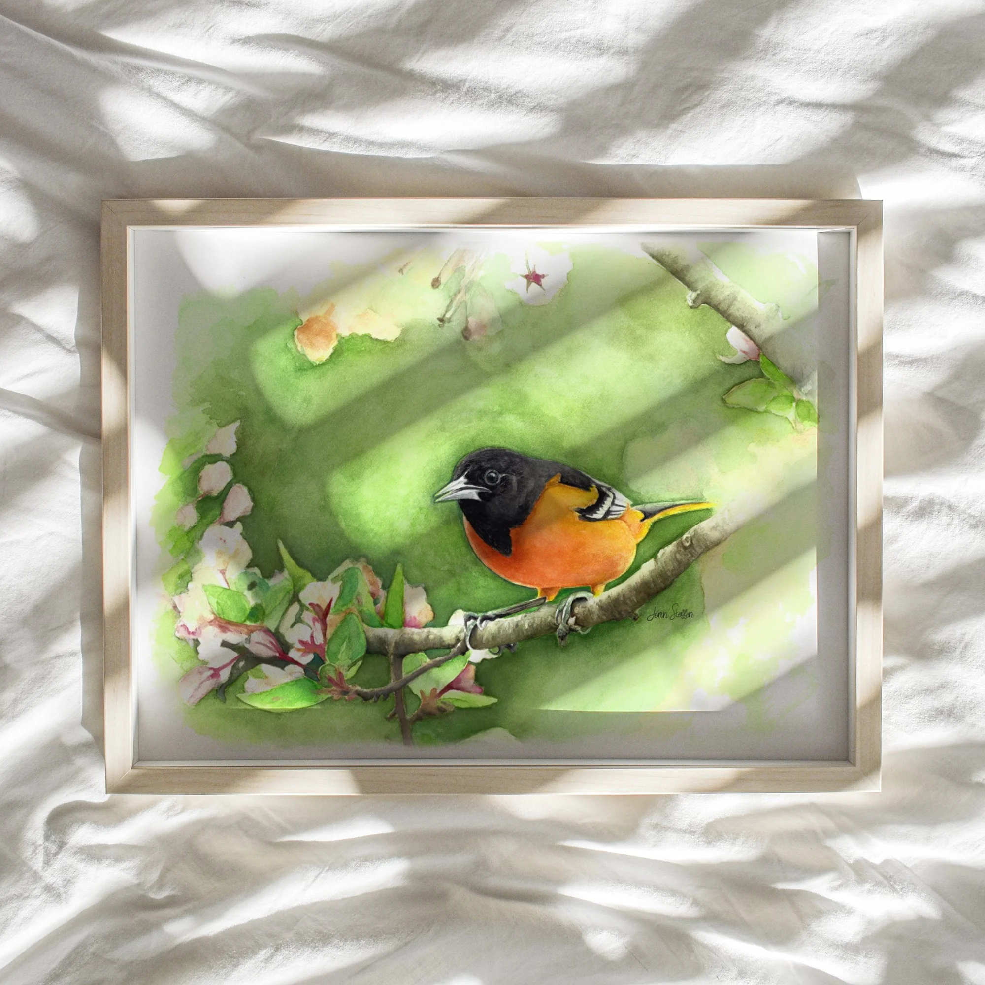 JennSteffenArt_BaltimoreOriole_Watercolor.jpg