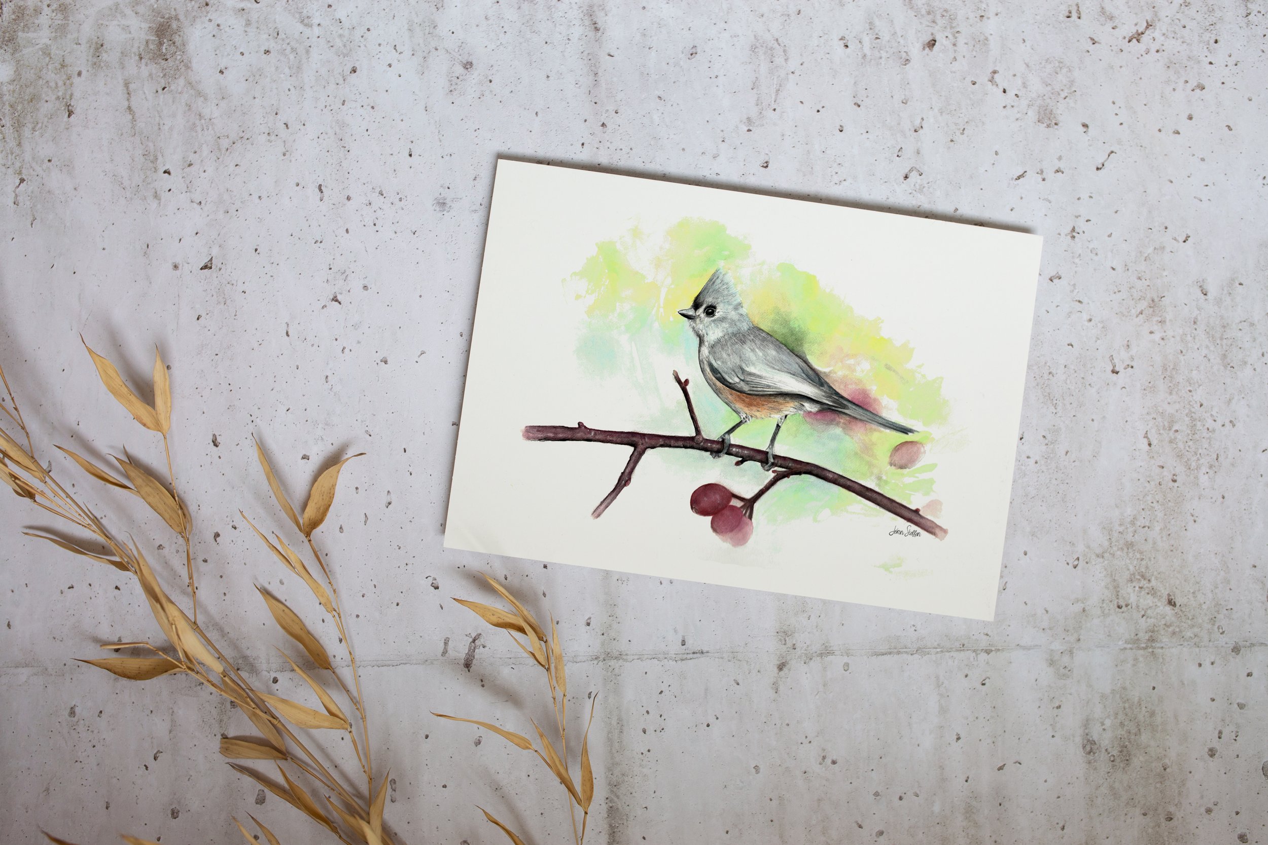 JennSteffenArt_TuftedTitmouse2_Mockup_unframed_print.jpg