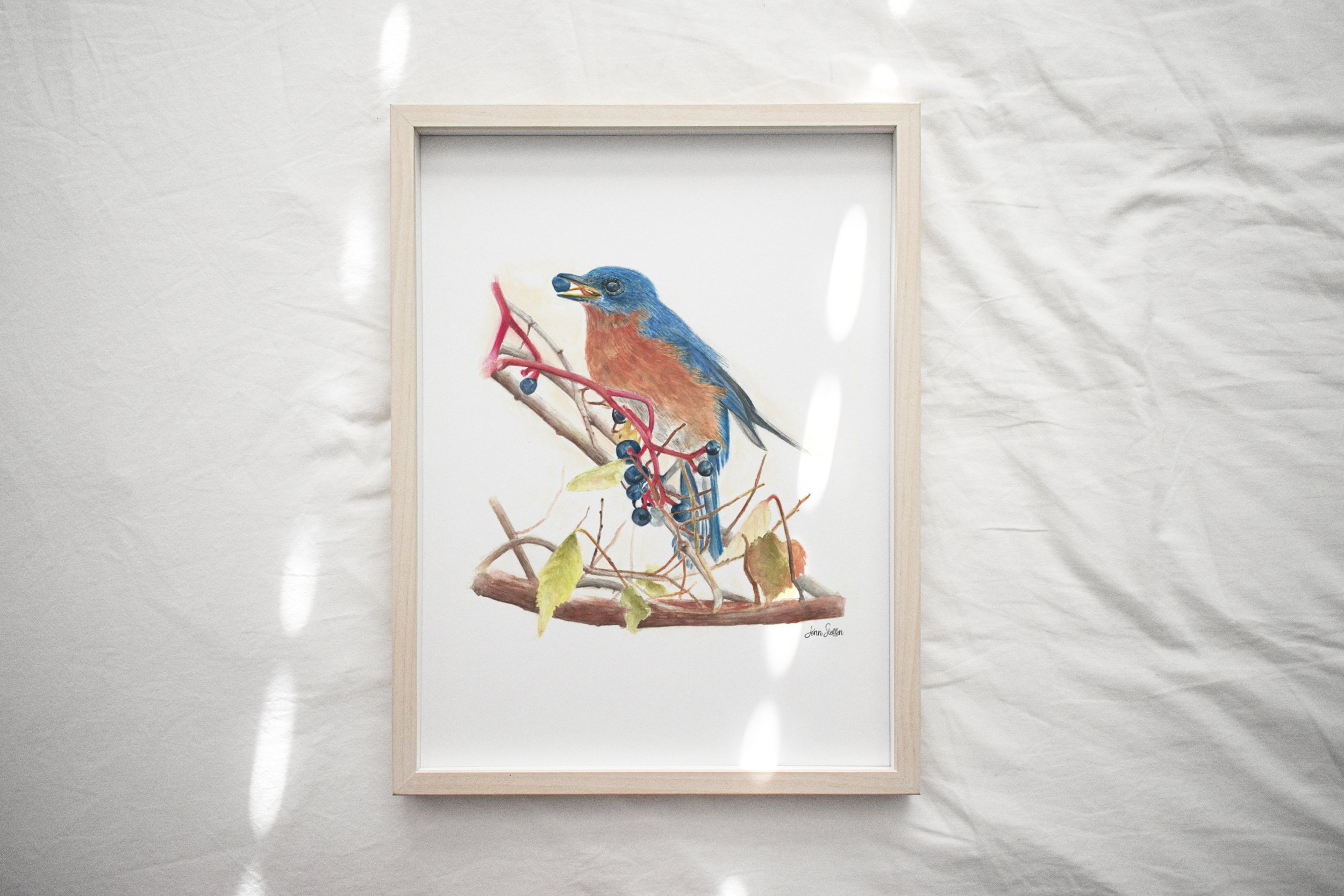 WebsiteMockup-1Bluebird_Berries_JennSteffenArt.jpg