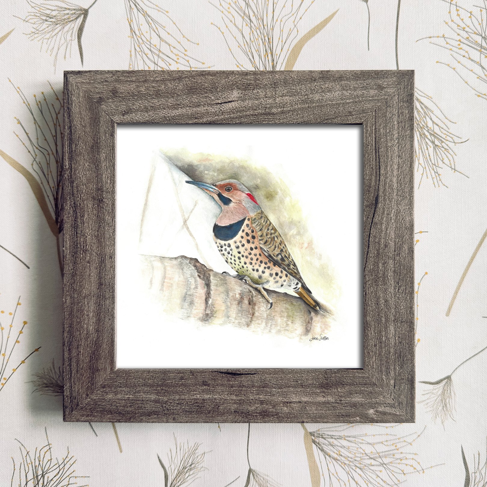 Northern_Flicker_Natural Frame Color_JennSteffenArt.jpg