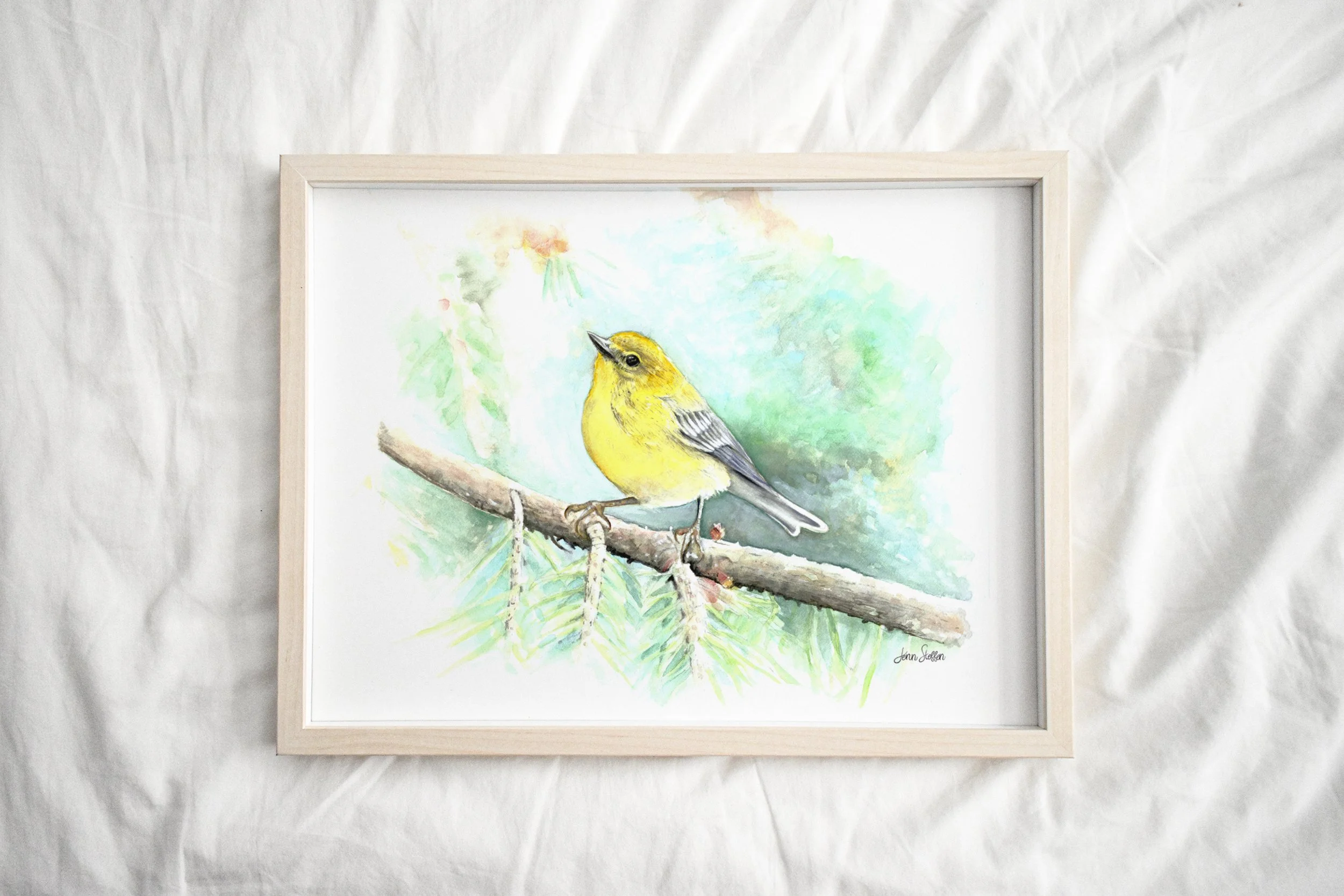 JennSteffenArt_PineWarbler_LightFrame.jpg