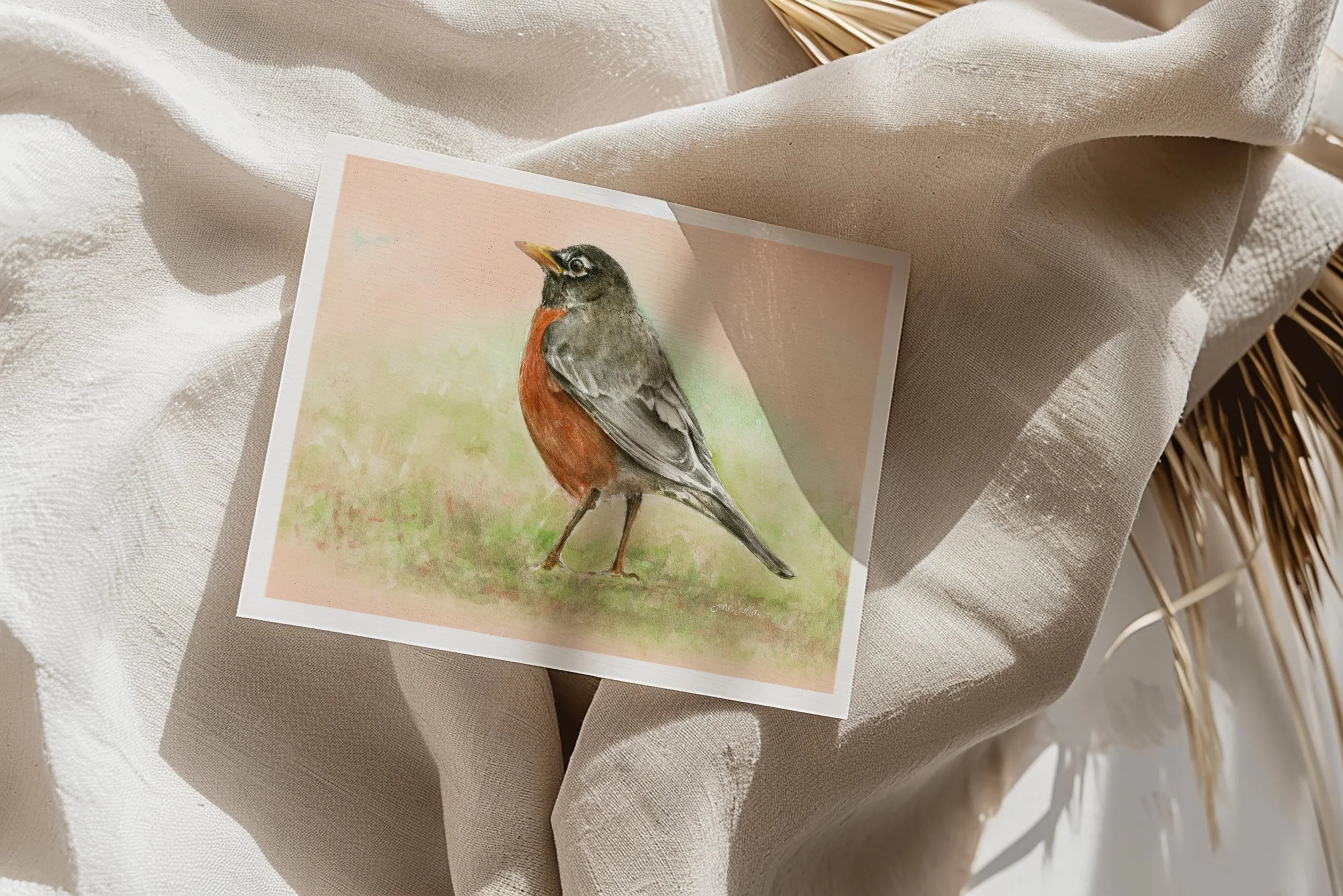 American Robin – Unframed Art Print