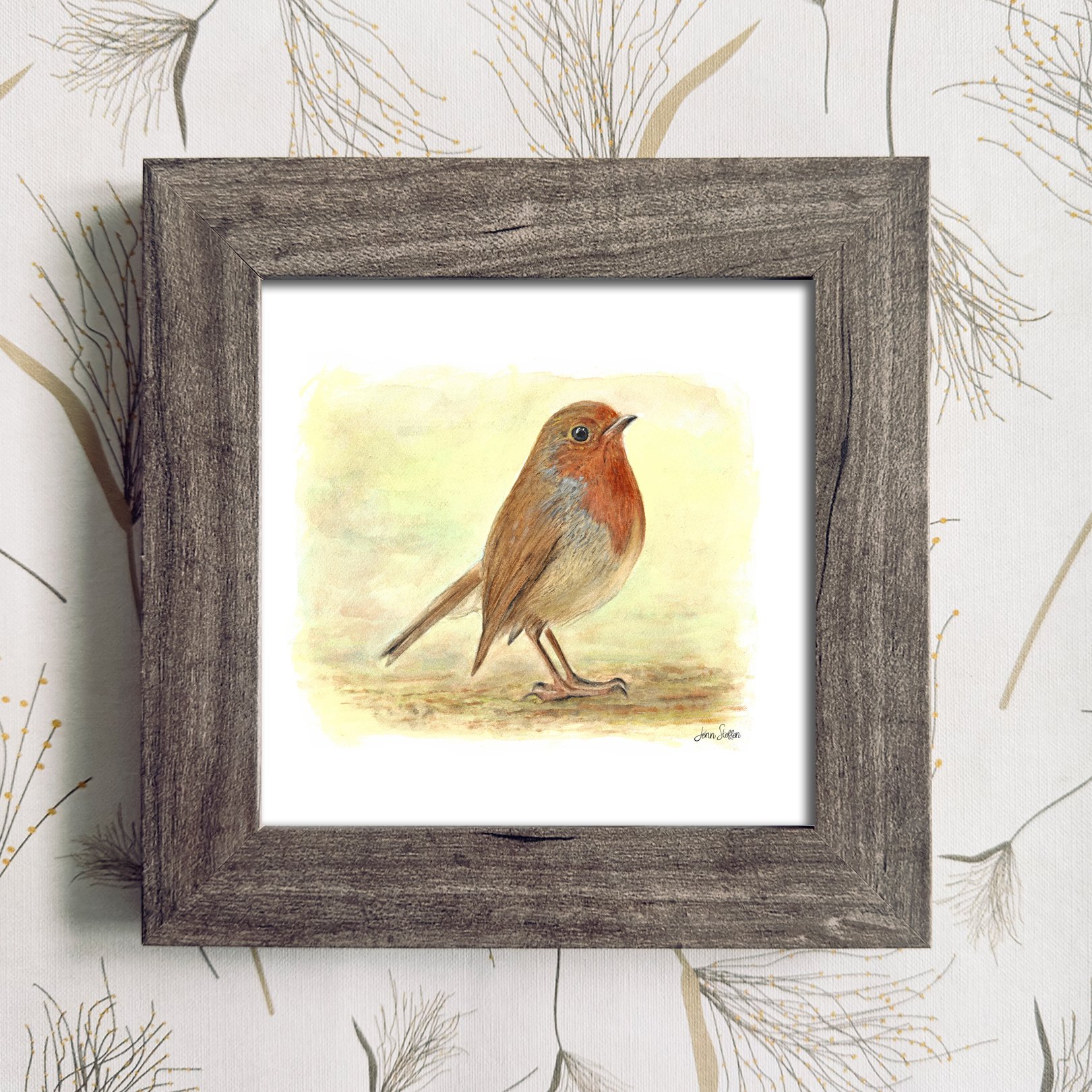 European_Robin_Natural Frame Color_JennSteffenArt.jpg